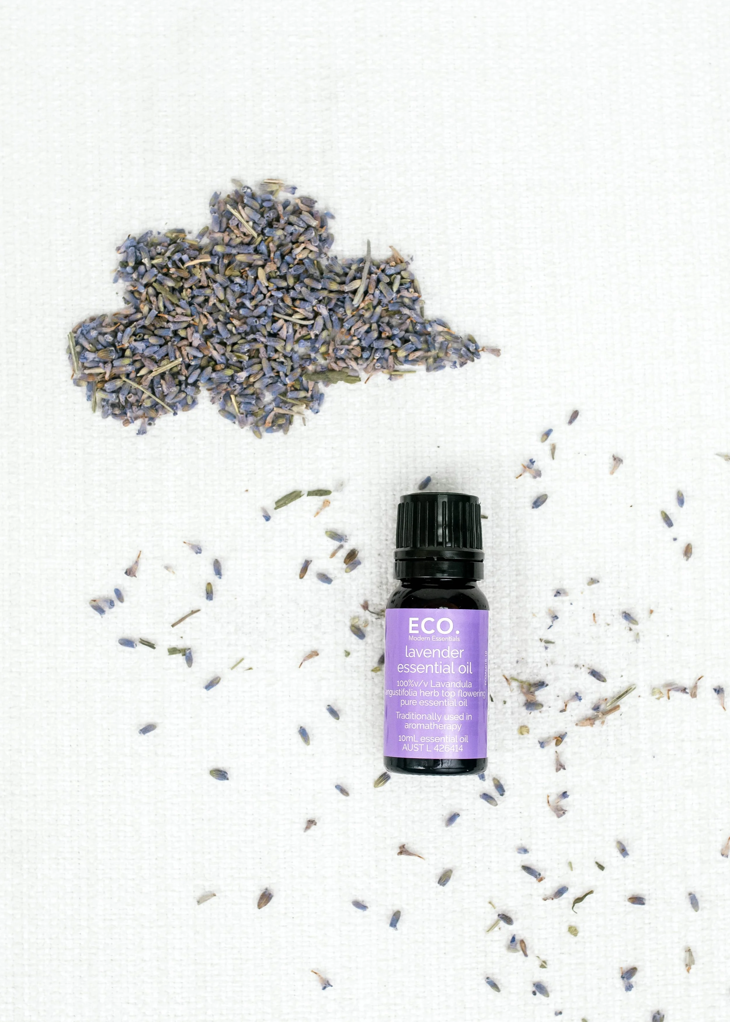 lavender with buds (6).jpg
