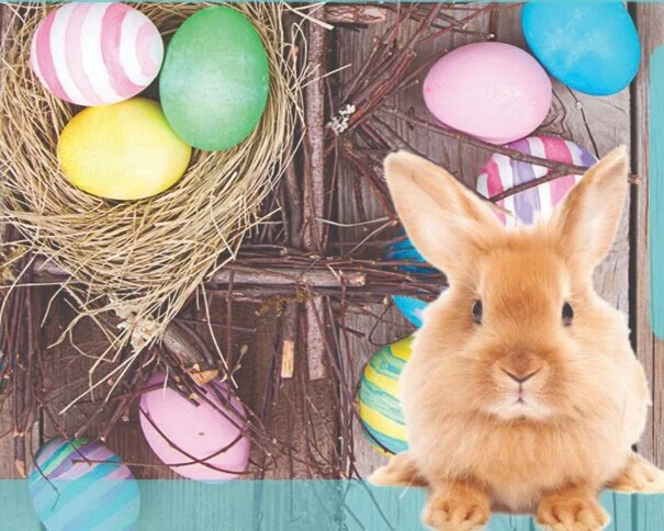 Easter Hamper Giveaway - POSTPONED