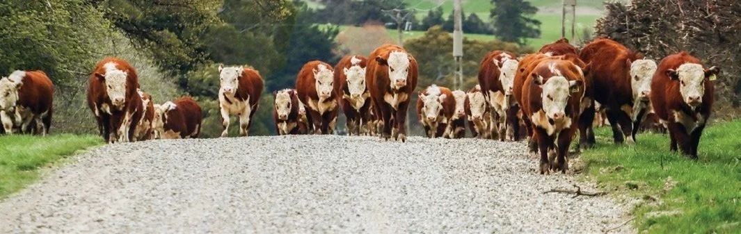 Hereford+Mag+22-31+2023+01022023_Page_2_Image_0002.jpg