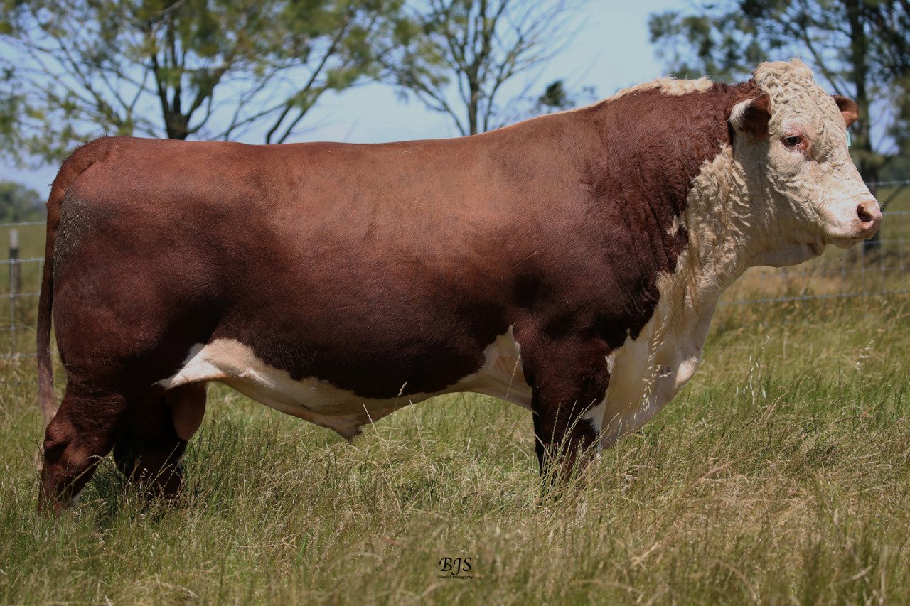 Sound Structure and Longevity