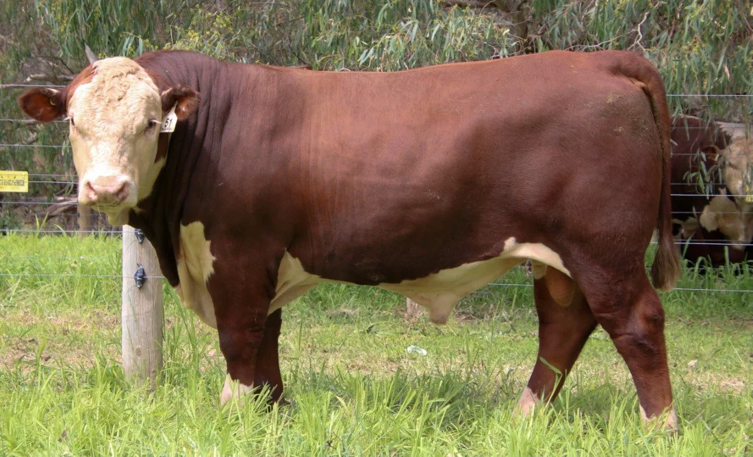 Growth that Works in Real Systems