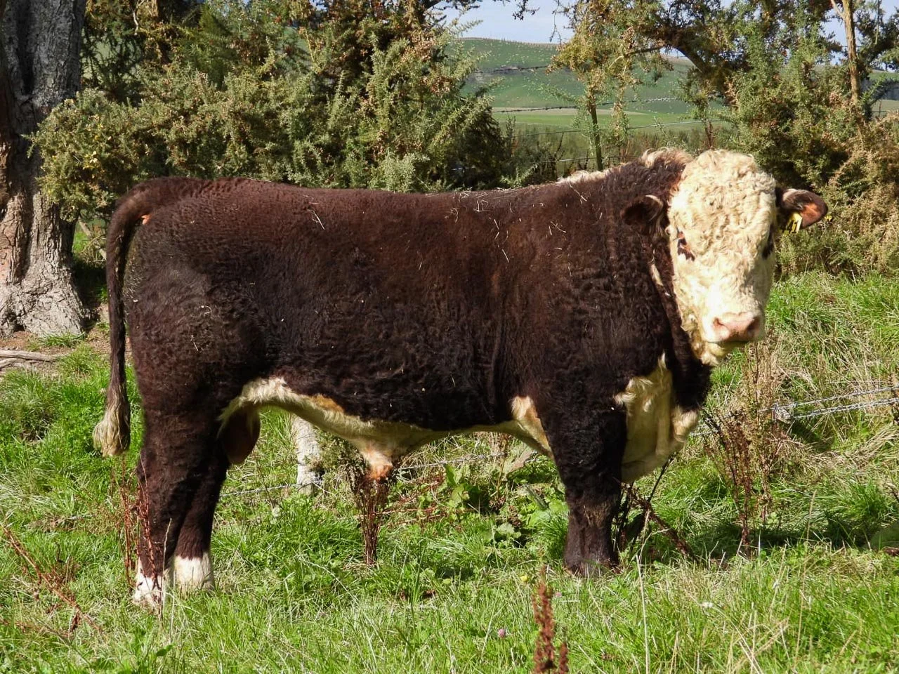 LOT 2