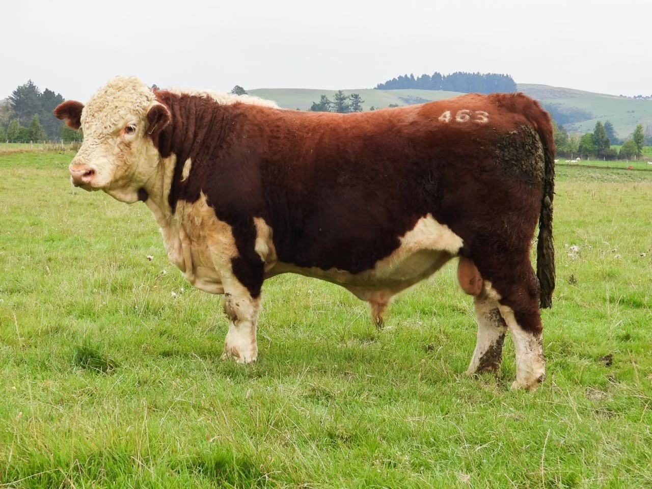 LOT 5