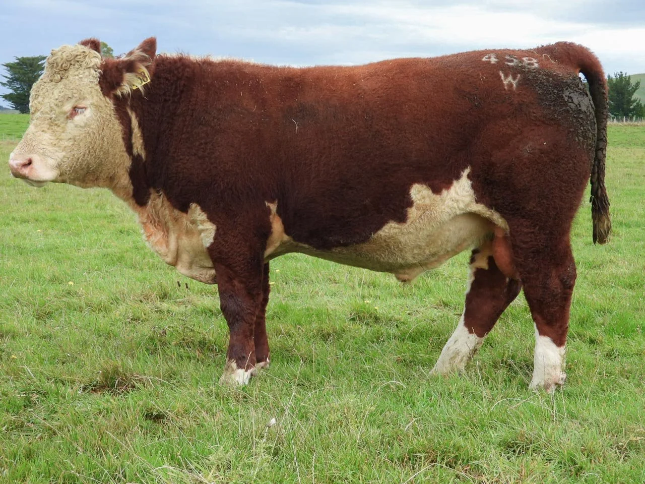 LOT 10