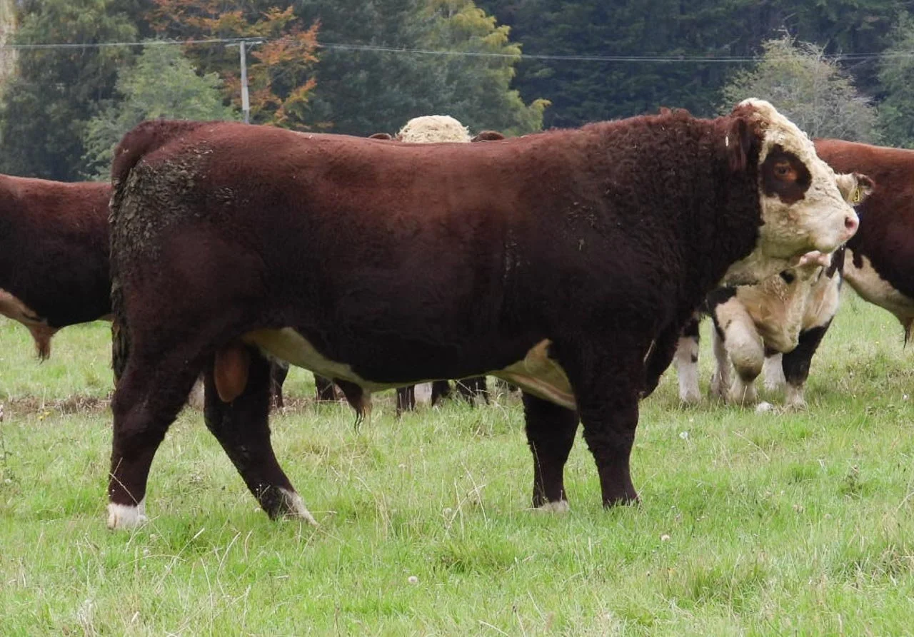 LOT 20