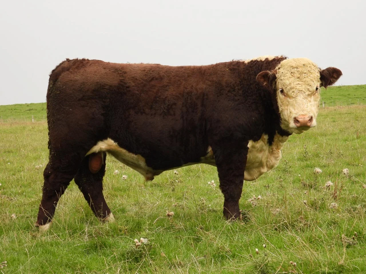 LOT 22