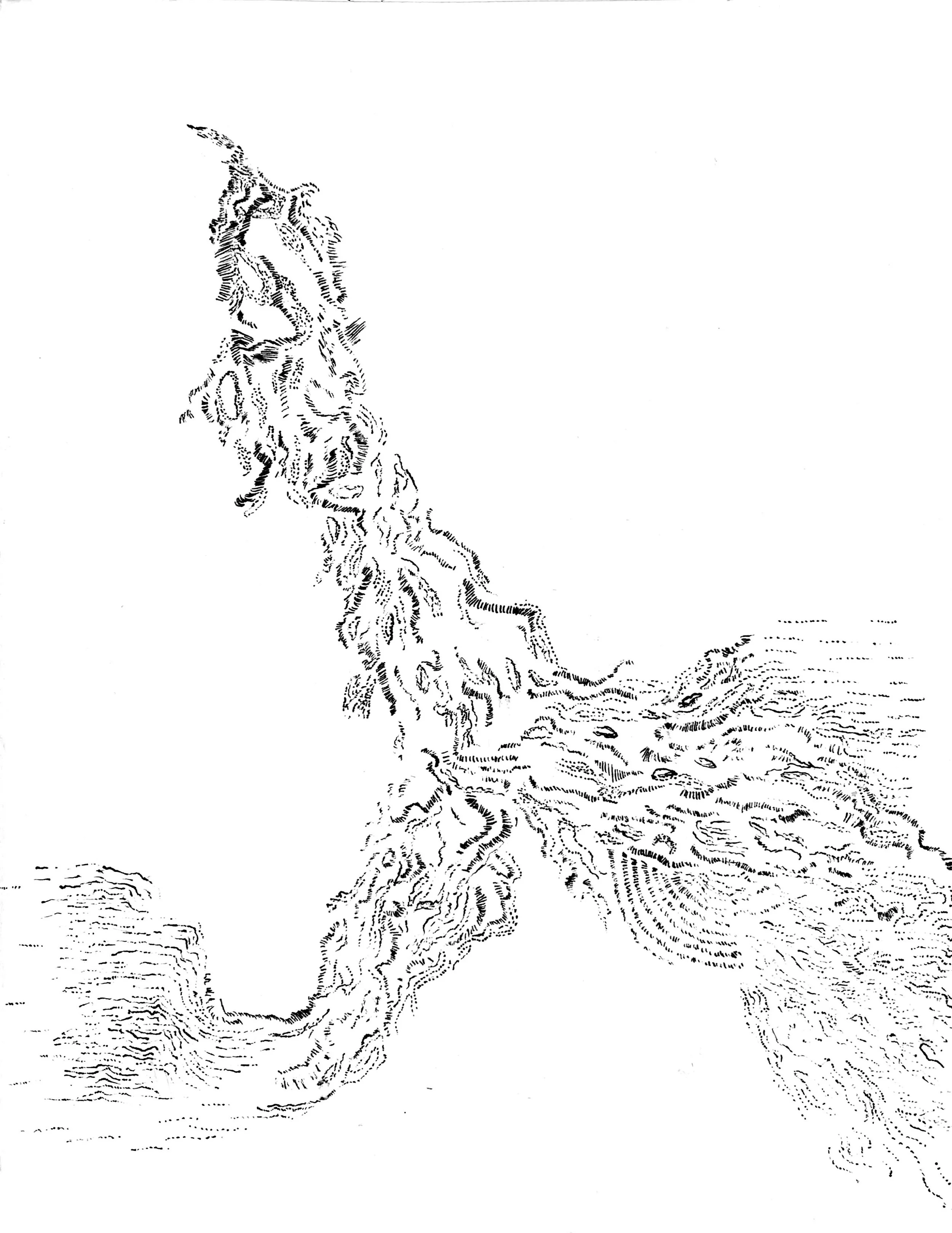  12 x 18 in.   ink on French paper 