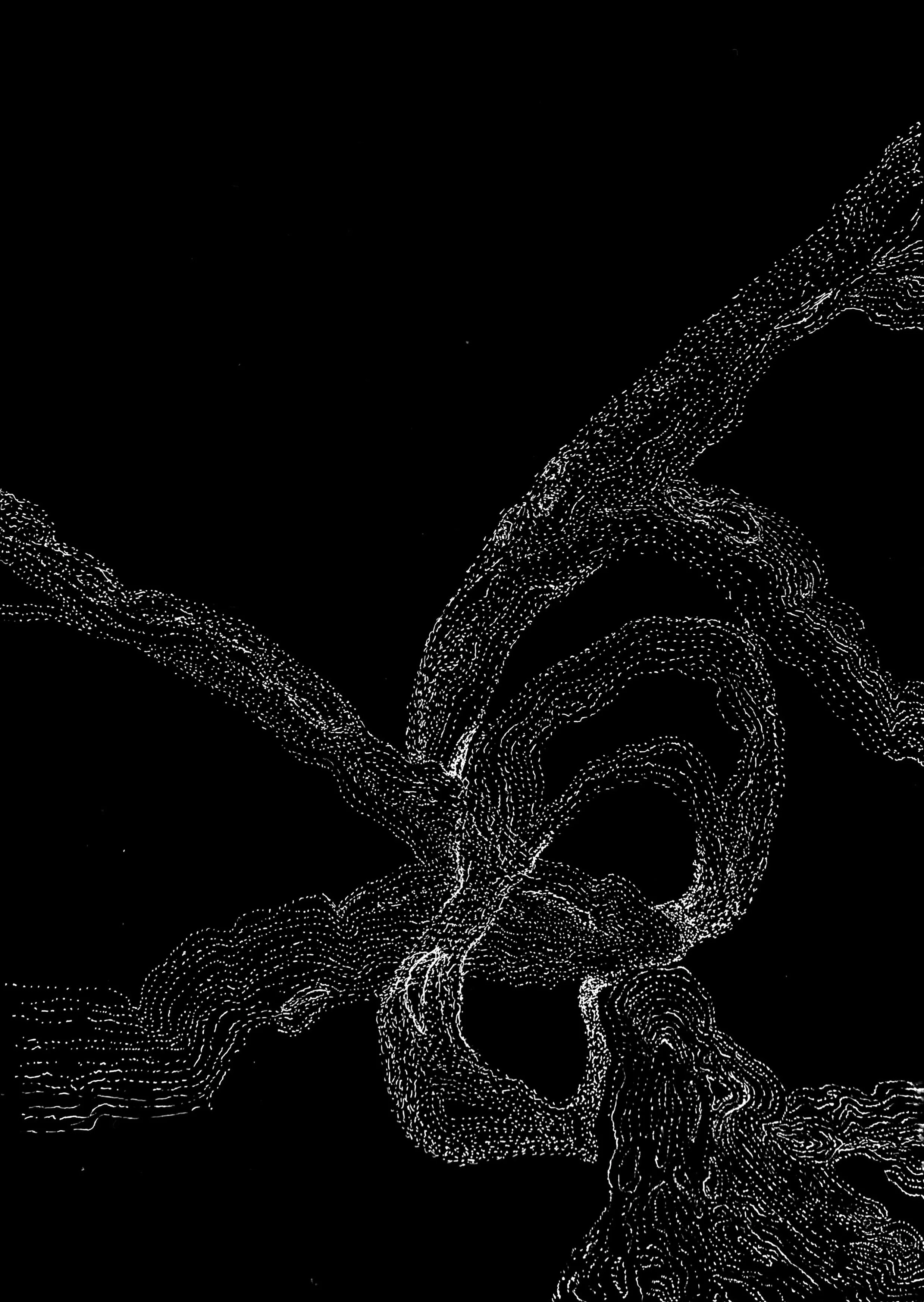  12 x 18”  ink on French paper  