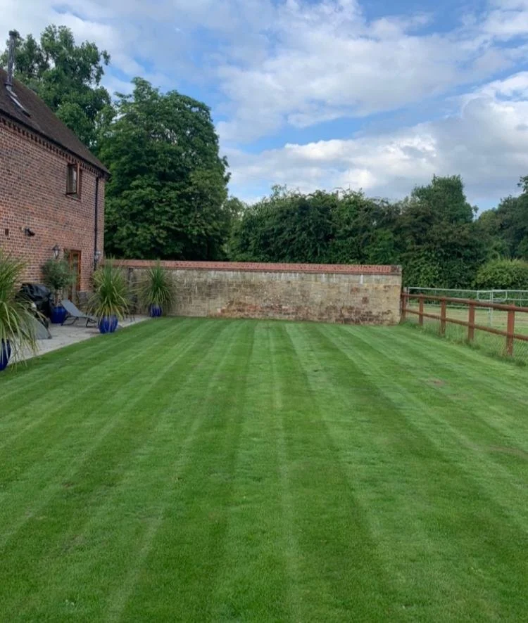 f1aa6293-05cf-41df-b0e8-7a240d7671bf 2.JPG