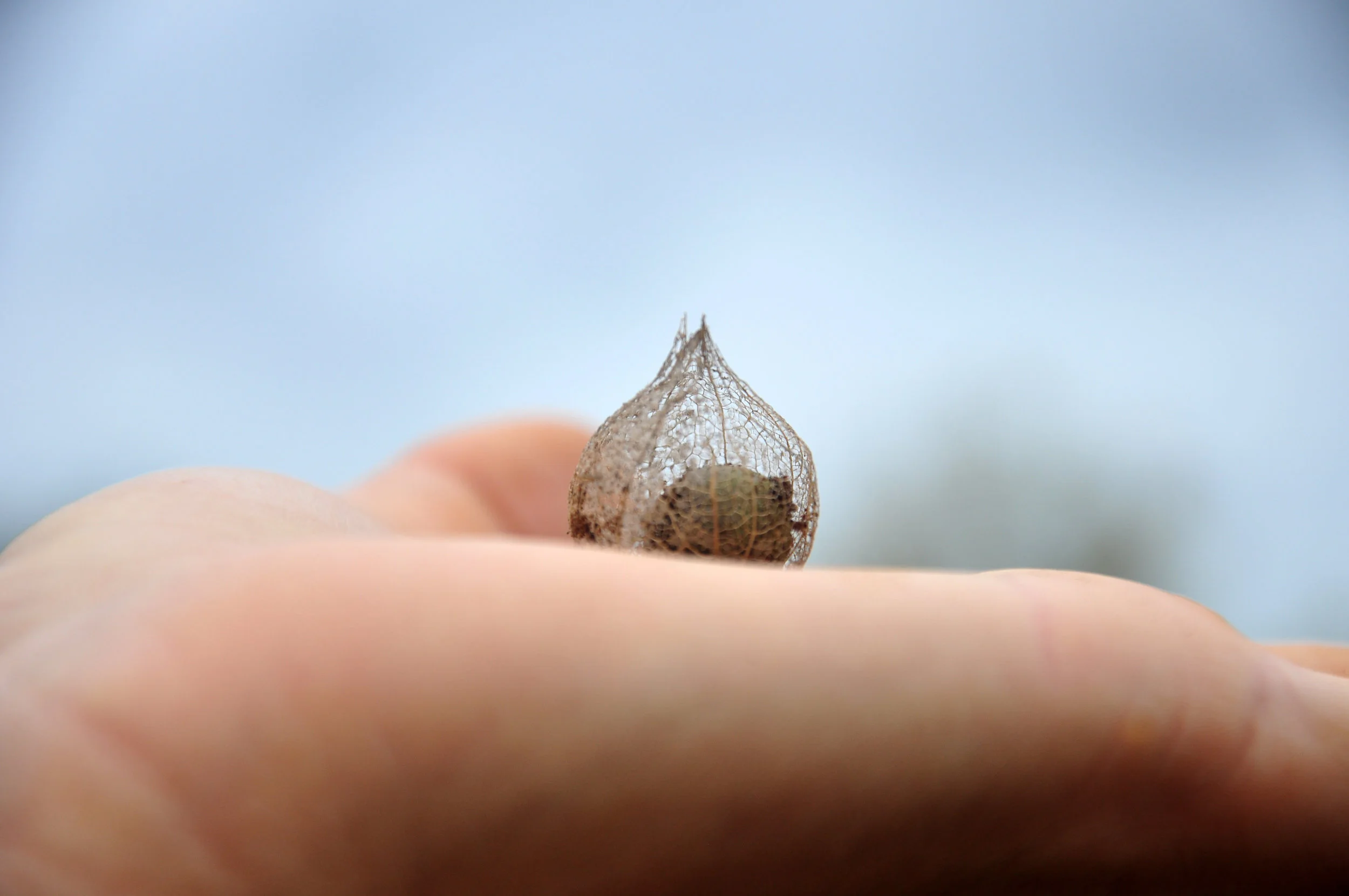 DSC_2507.JPG