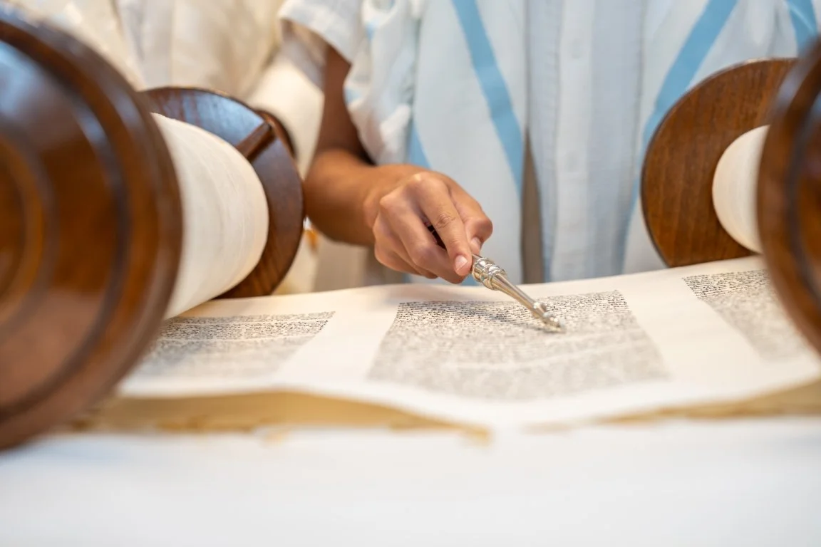 GPF_8702 (GPF_8702).jpg