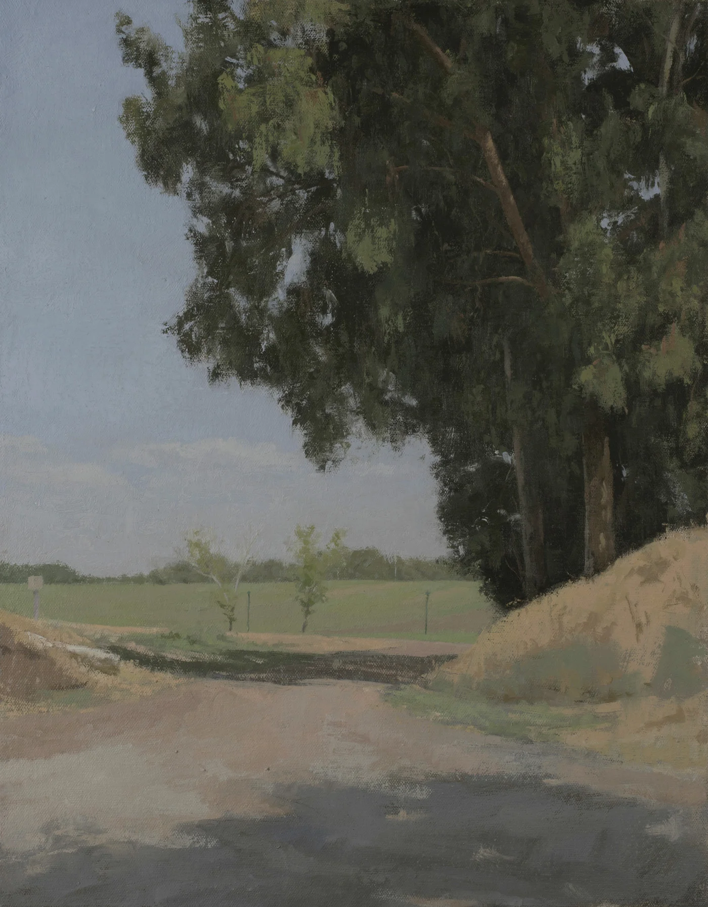 Oil on Canvas, 35X45 cm, 2018