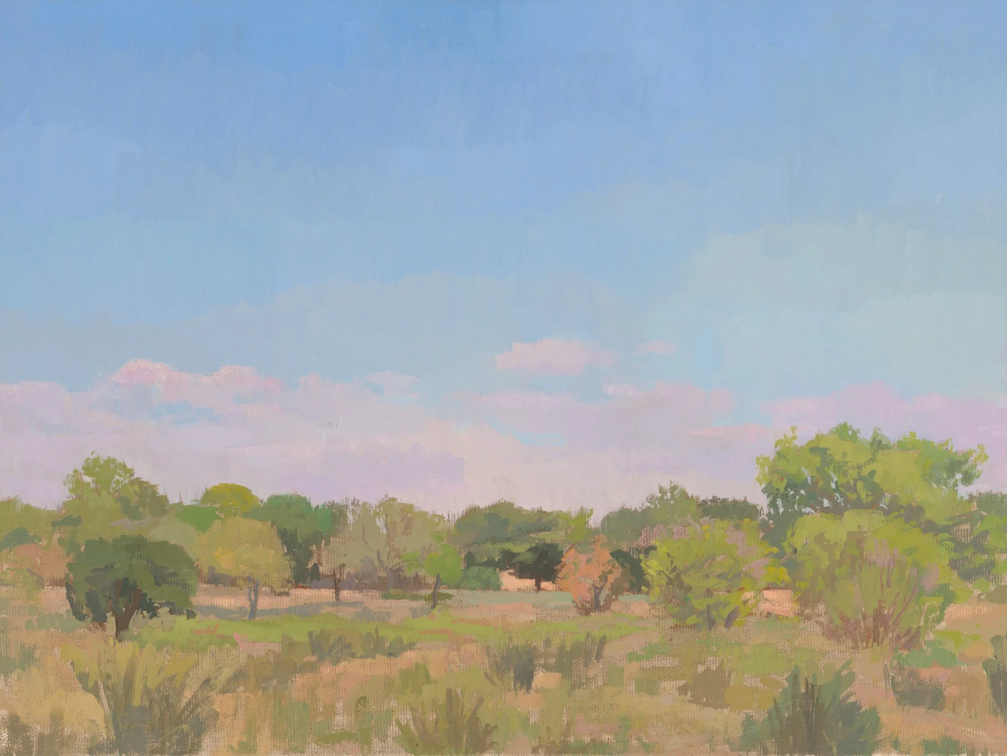  Oil on Canvas, 40×30 cm, 2026 