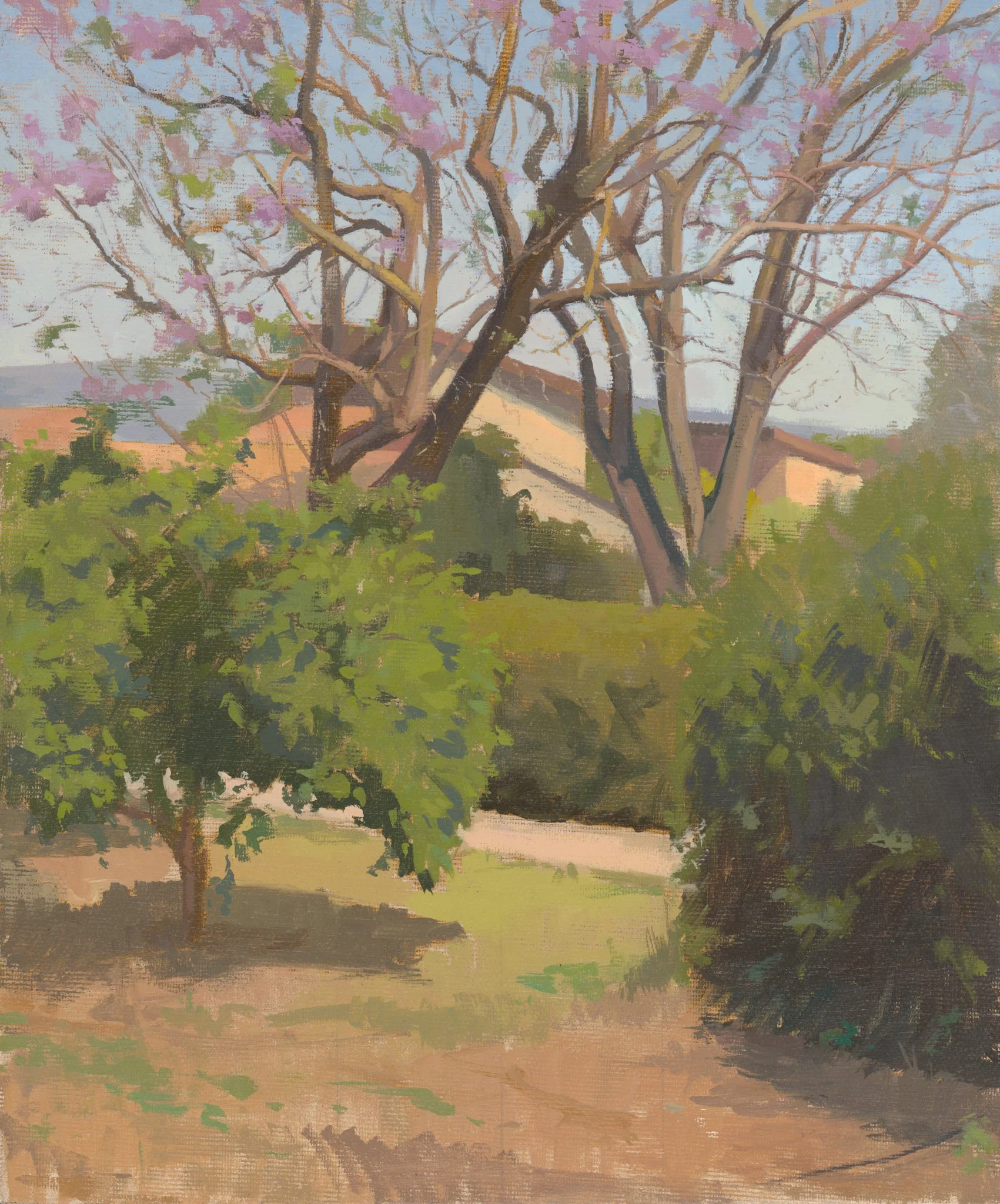 Grandma Esther’s Jacaranda