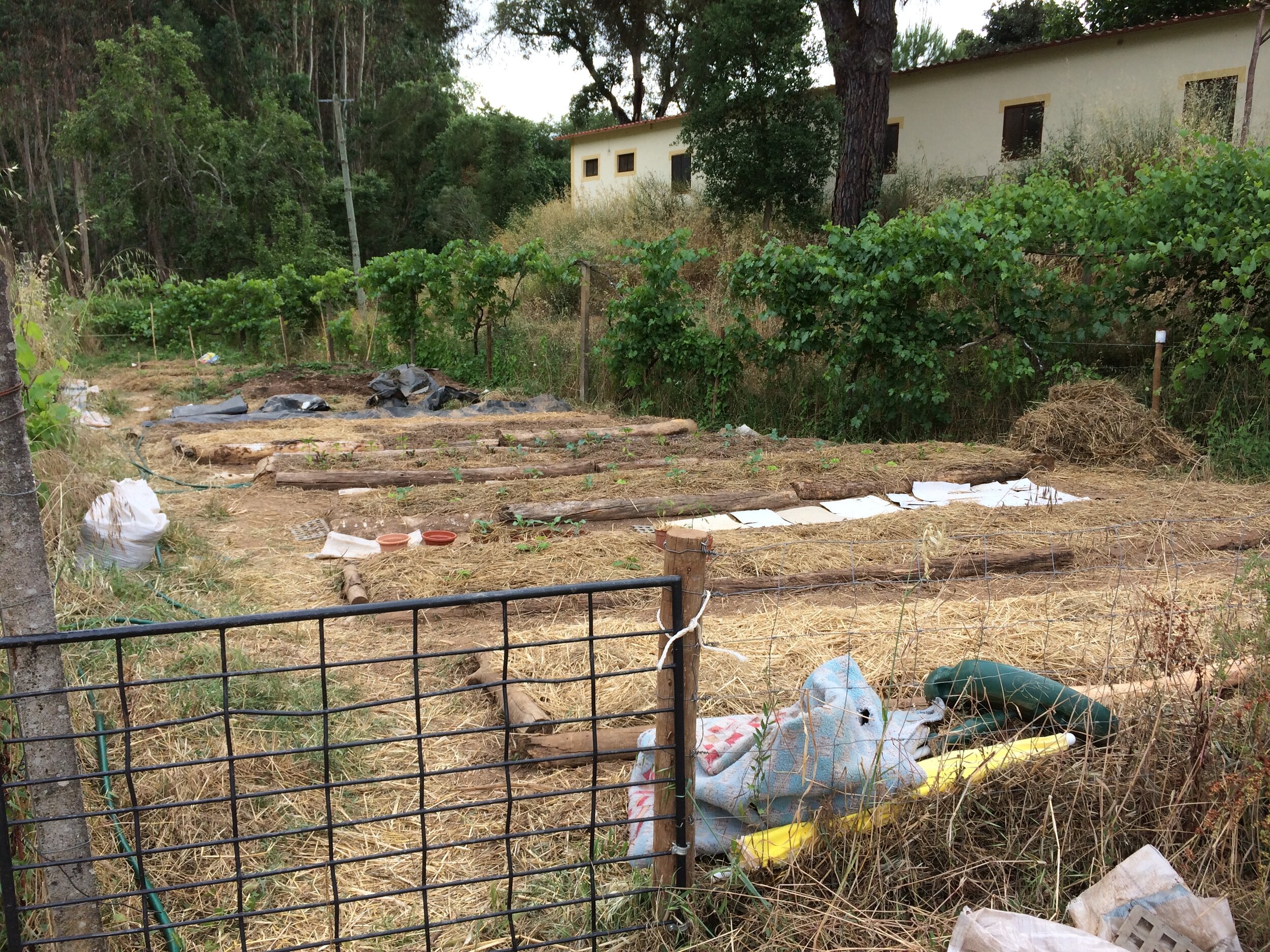 Preparing the main growing areas and re-establishing the Hugelkultur raised beds.