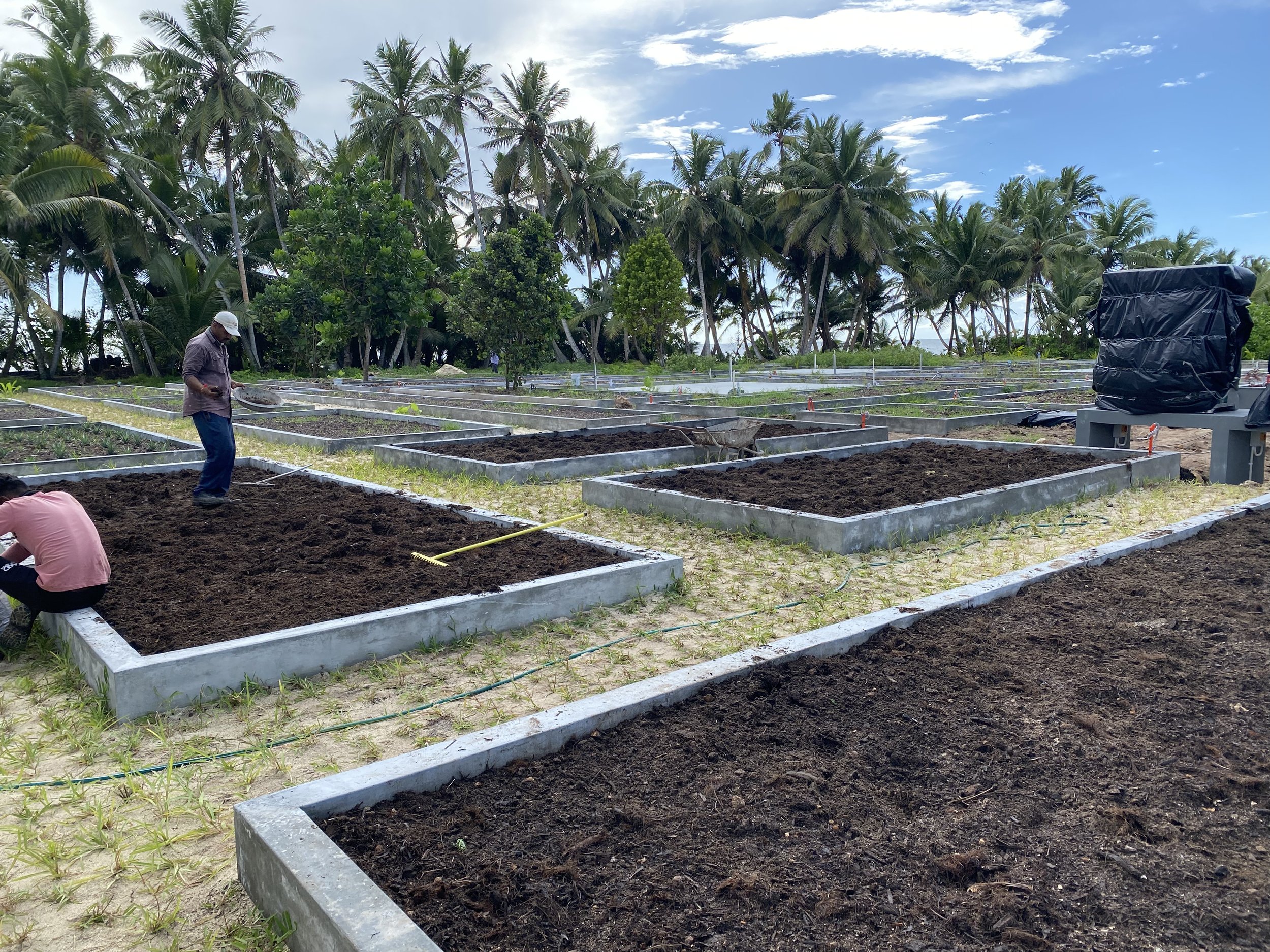 Restaurant grden soil preparation .jpg