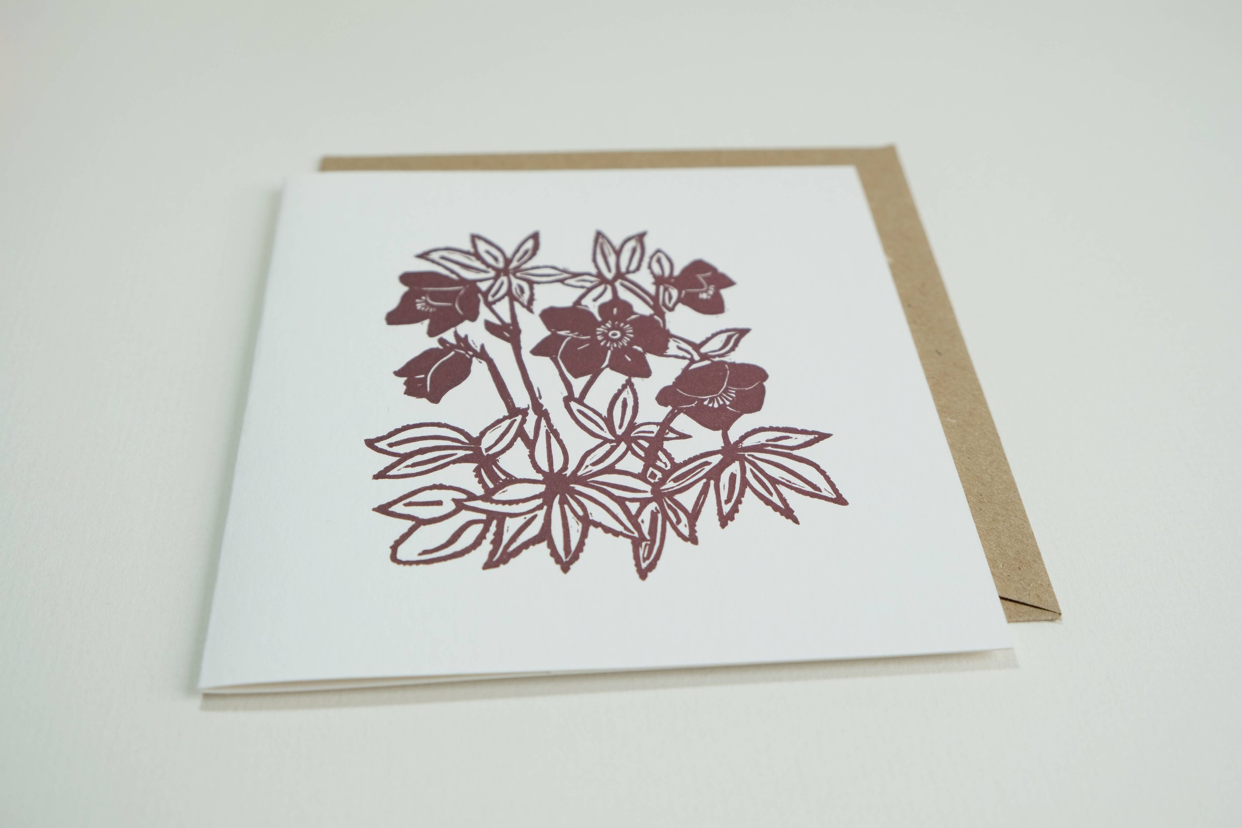 helebores angle.jpg