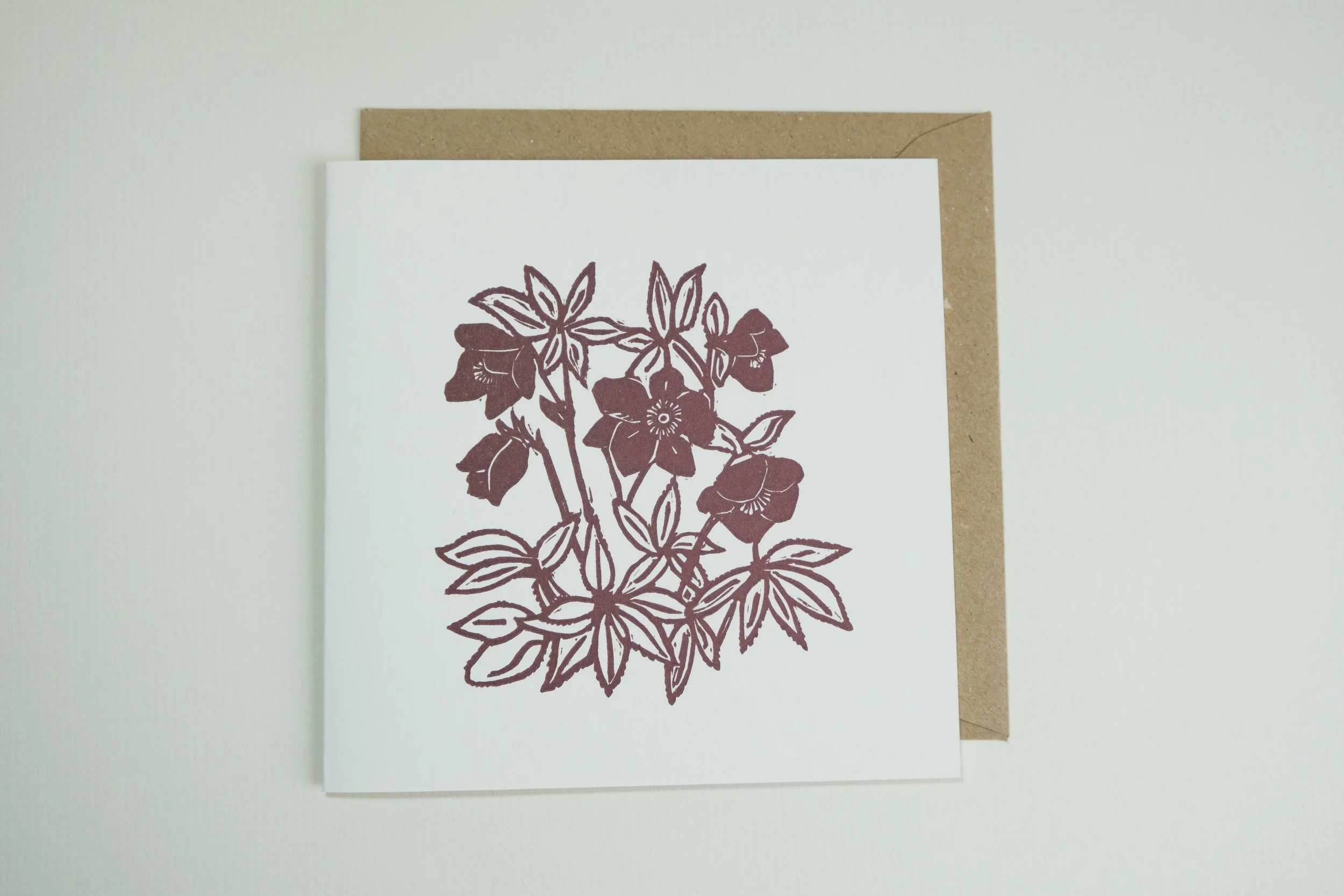 helebores top.jpg
