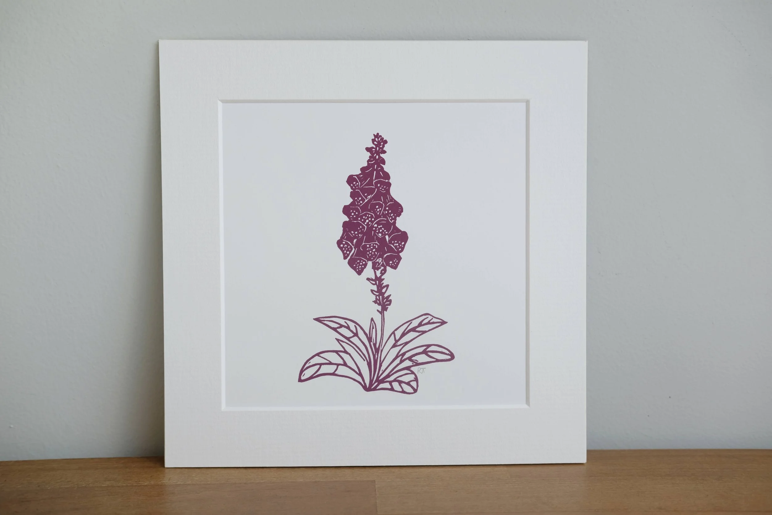 foxglove standing.jpg