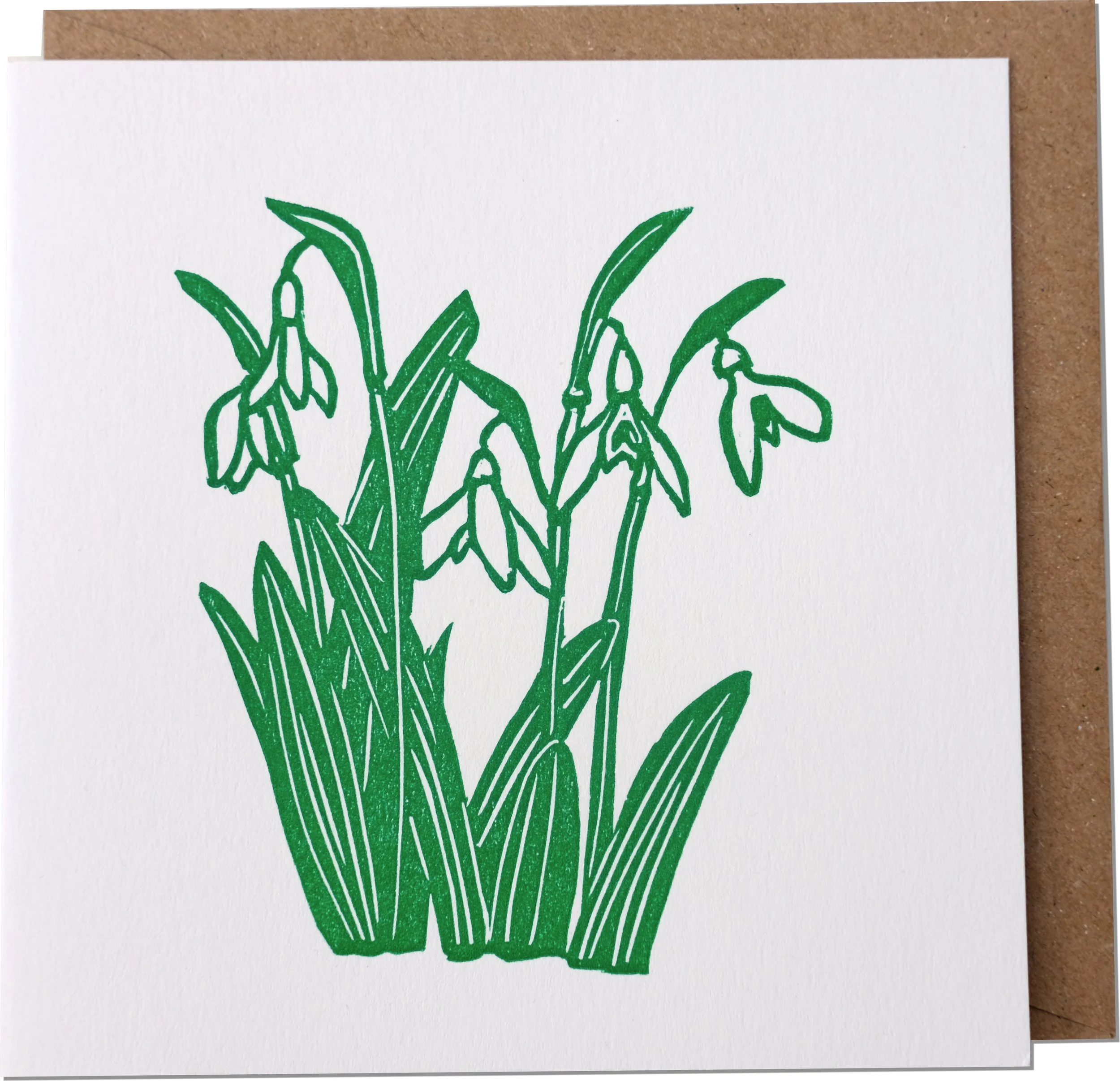 Snowdrops Card