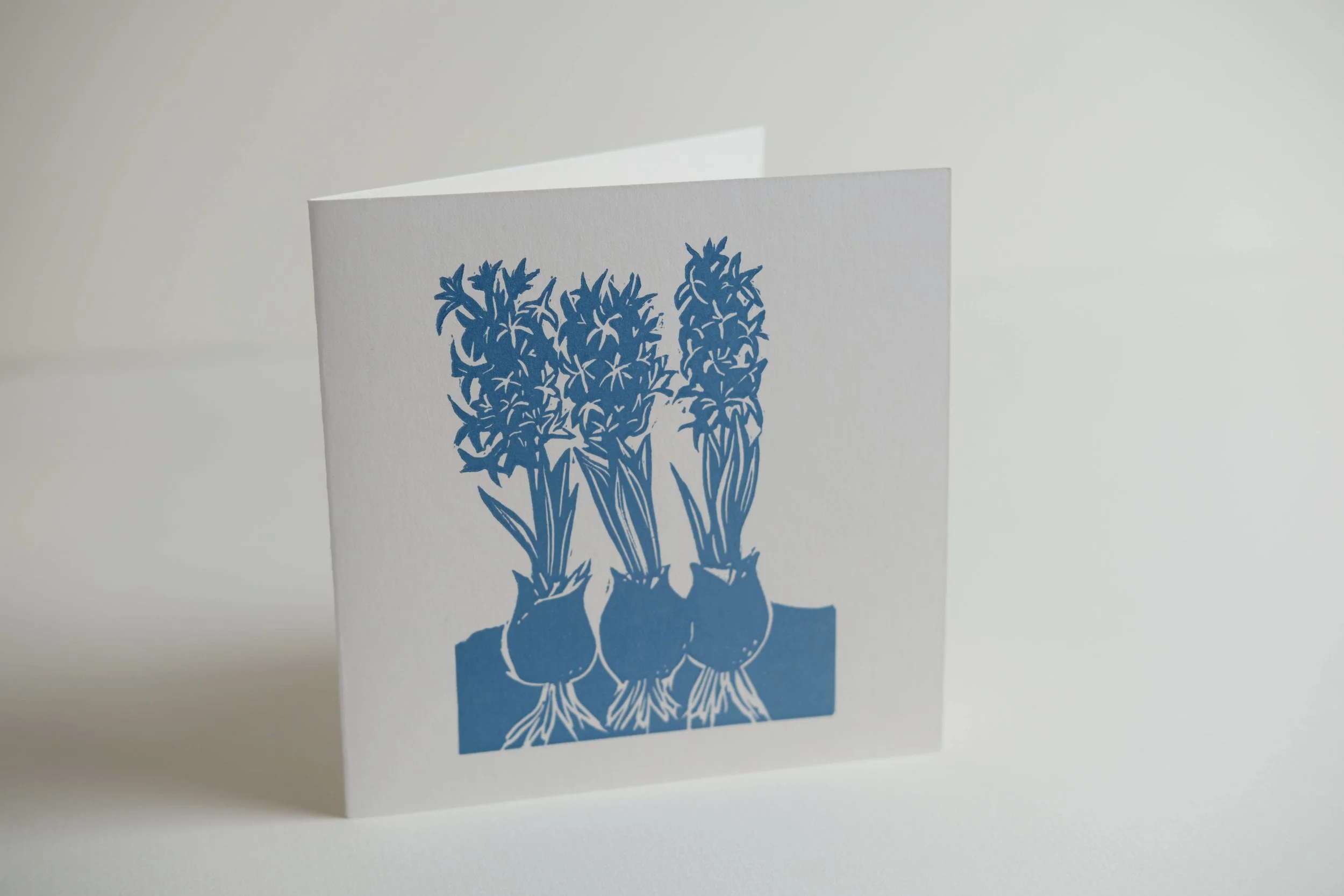 hyacinth standing b.jpg
