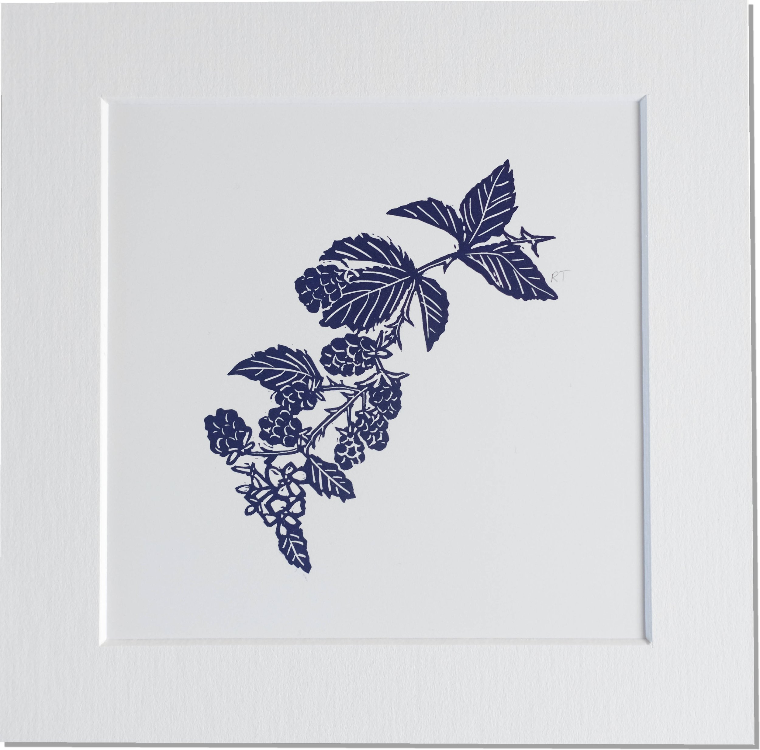 Blackberries Mounted Print