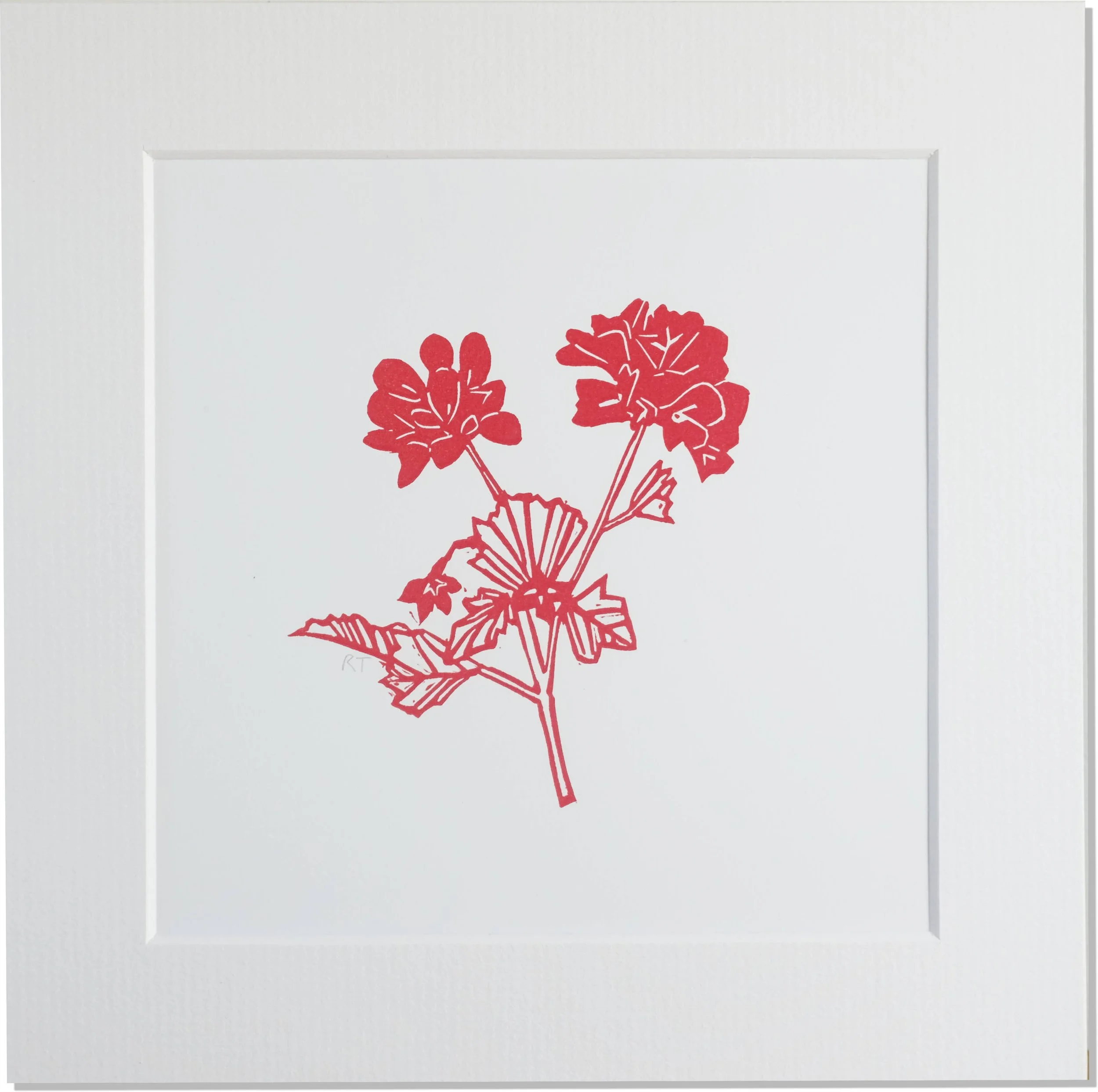 Geranium Mounted Print