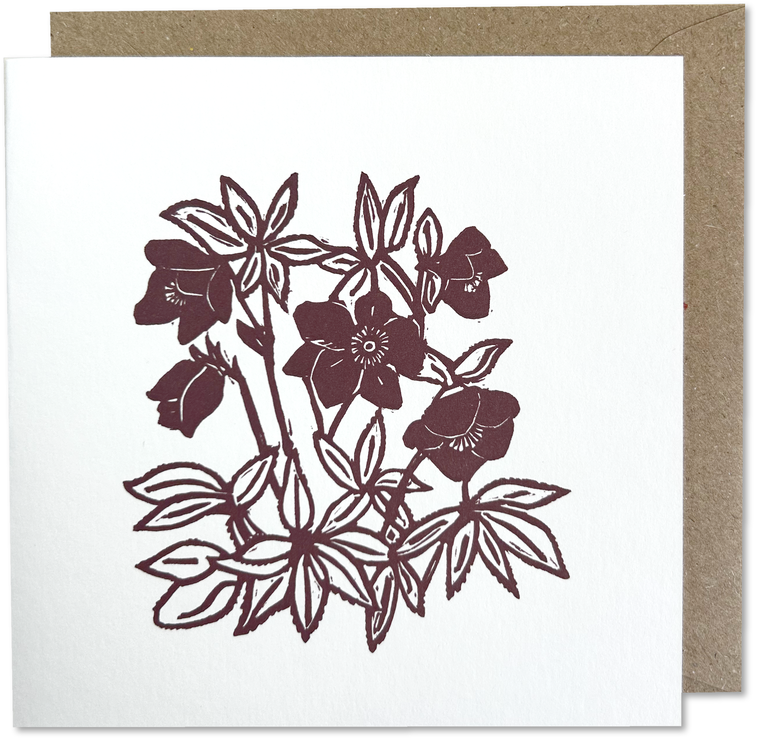 Helebores Card