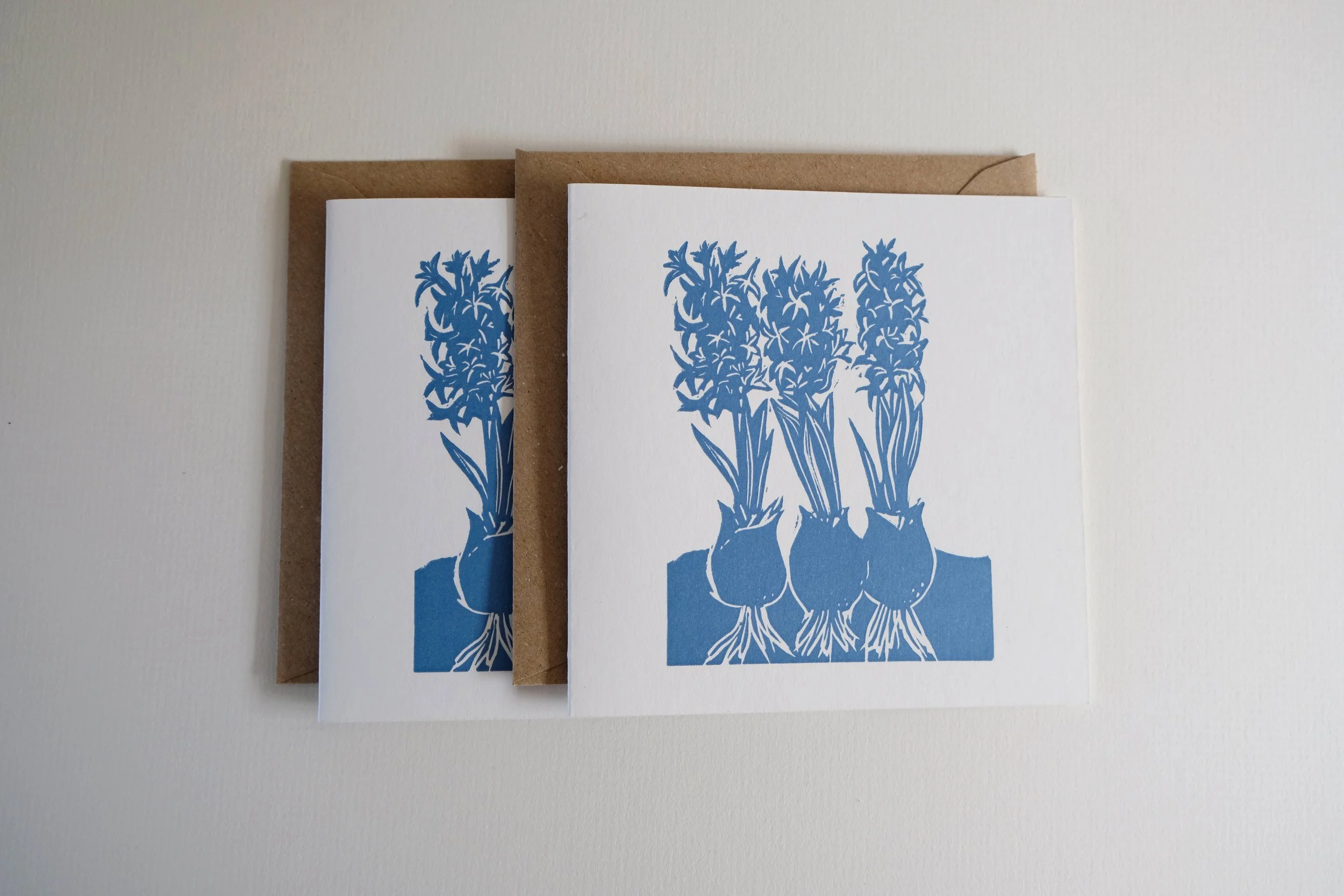 hyacinth subscribe.jpg