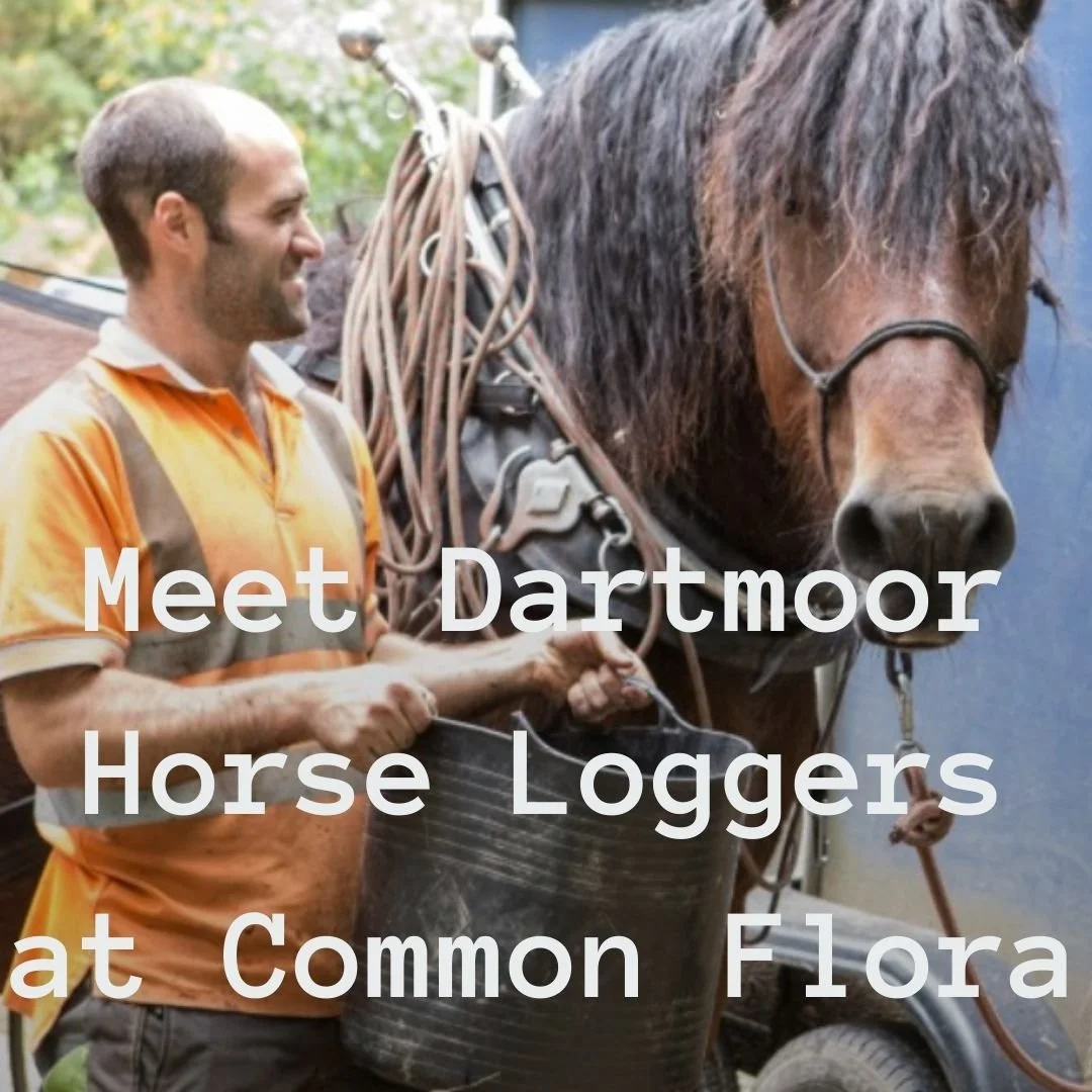 Add a subheading.jpg