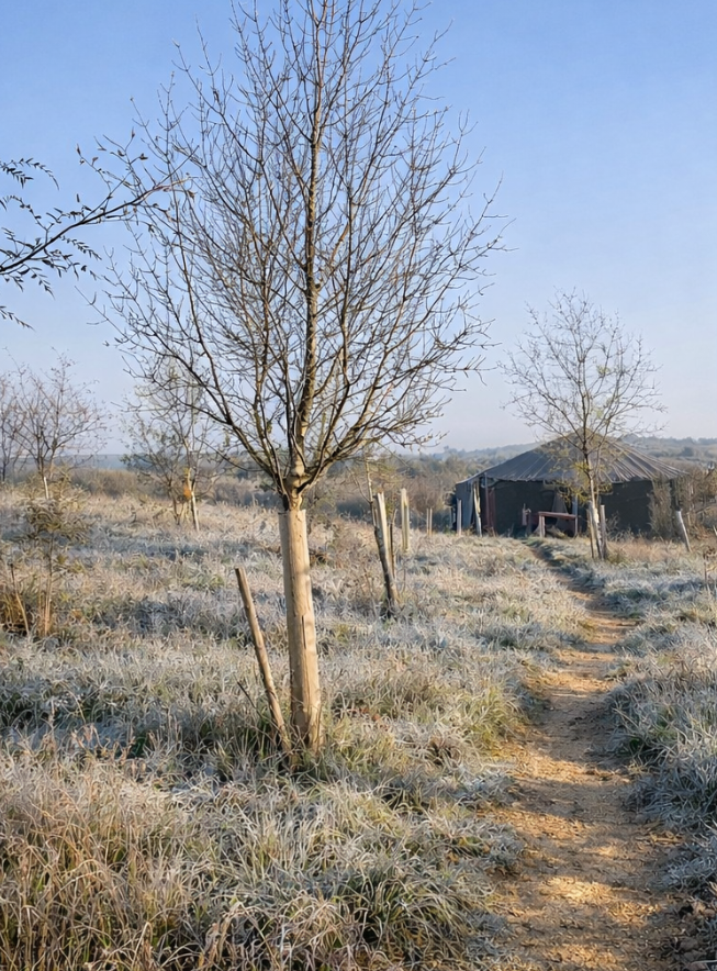 Can You Feel Spring Stirring, A New Season at Common Flora