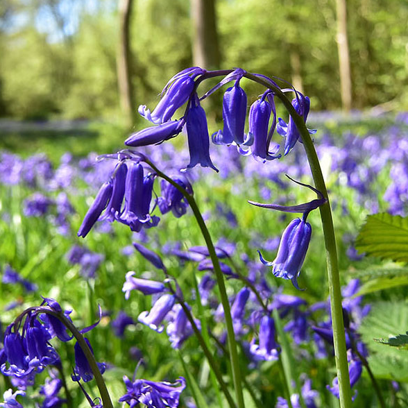 Screenshot 2026-03-31 at 13.05.53.png