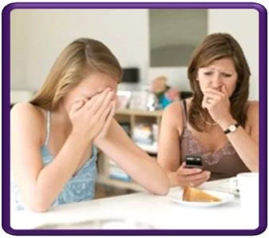 Parent Workshop "Sticks and Stones" Module Two