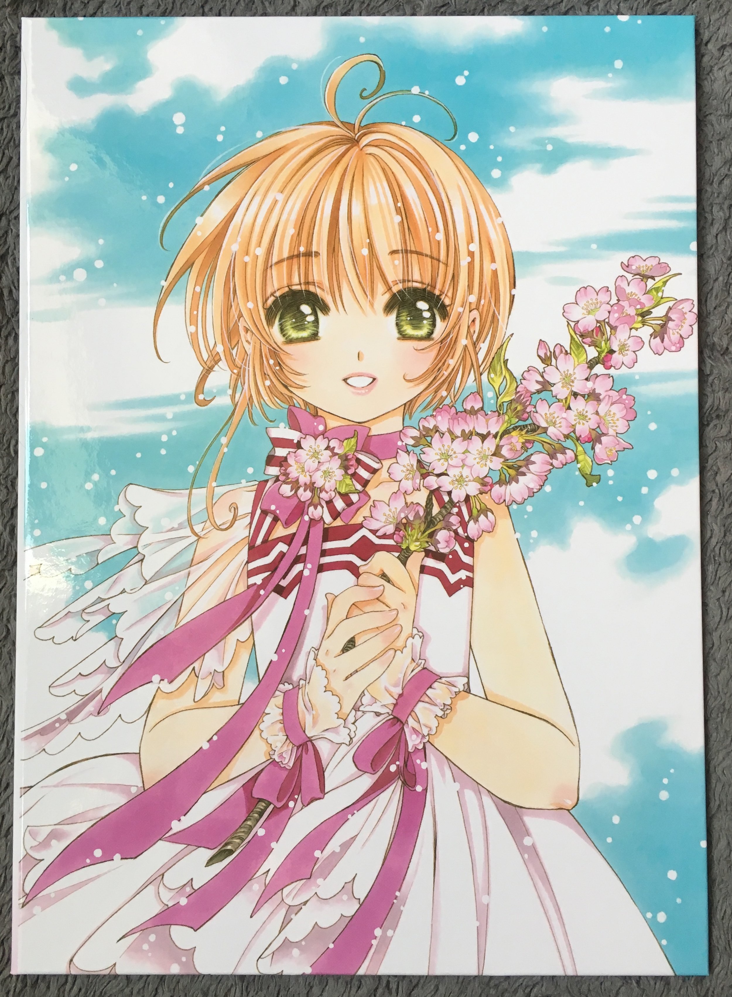 ccsfolder1.jpg