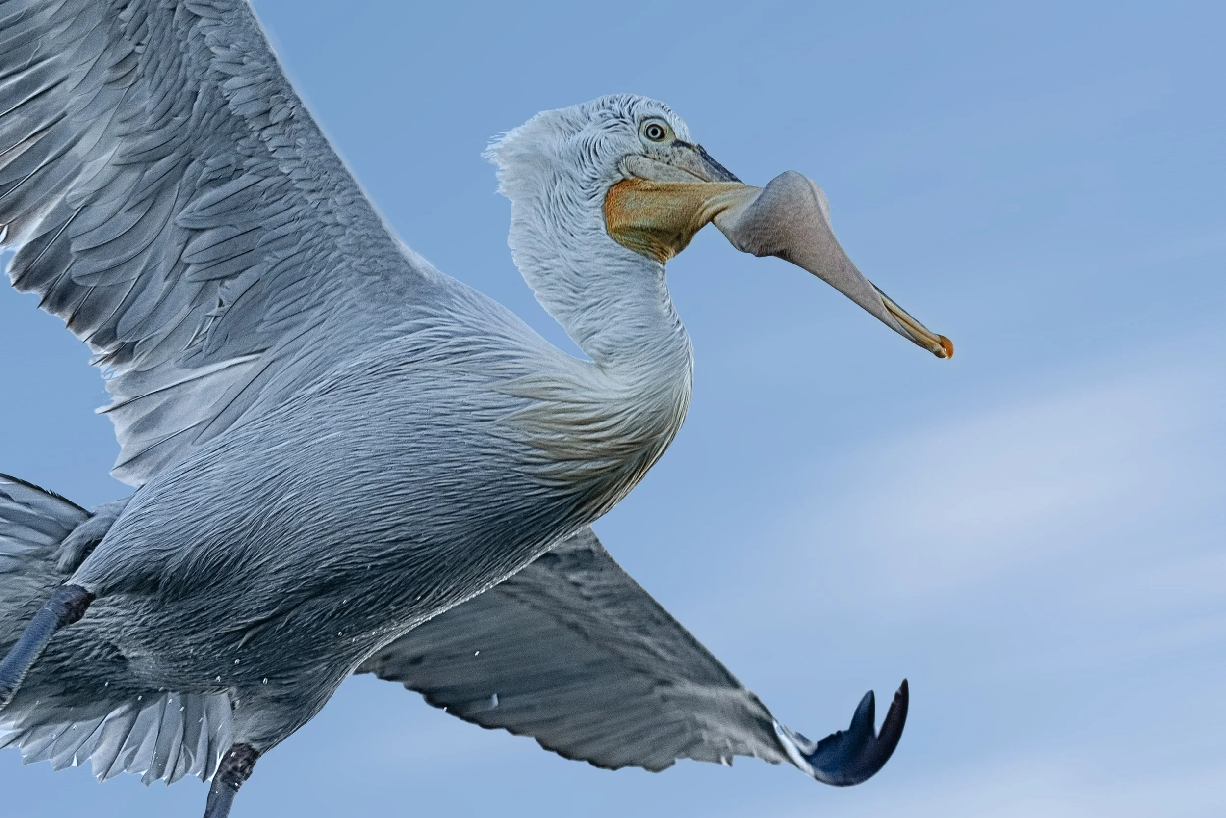 _DO25889_2.jpg