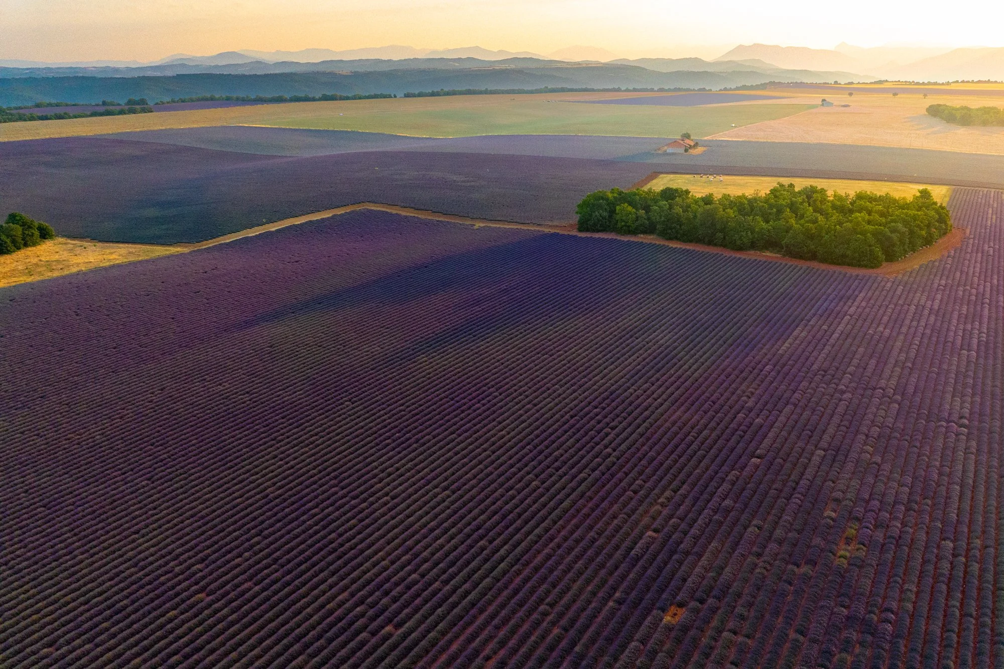 DJI_0501.jpg