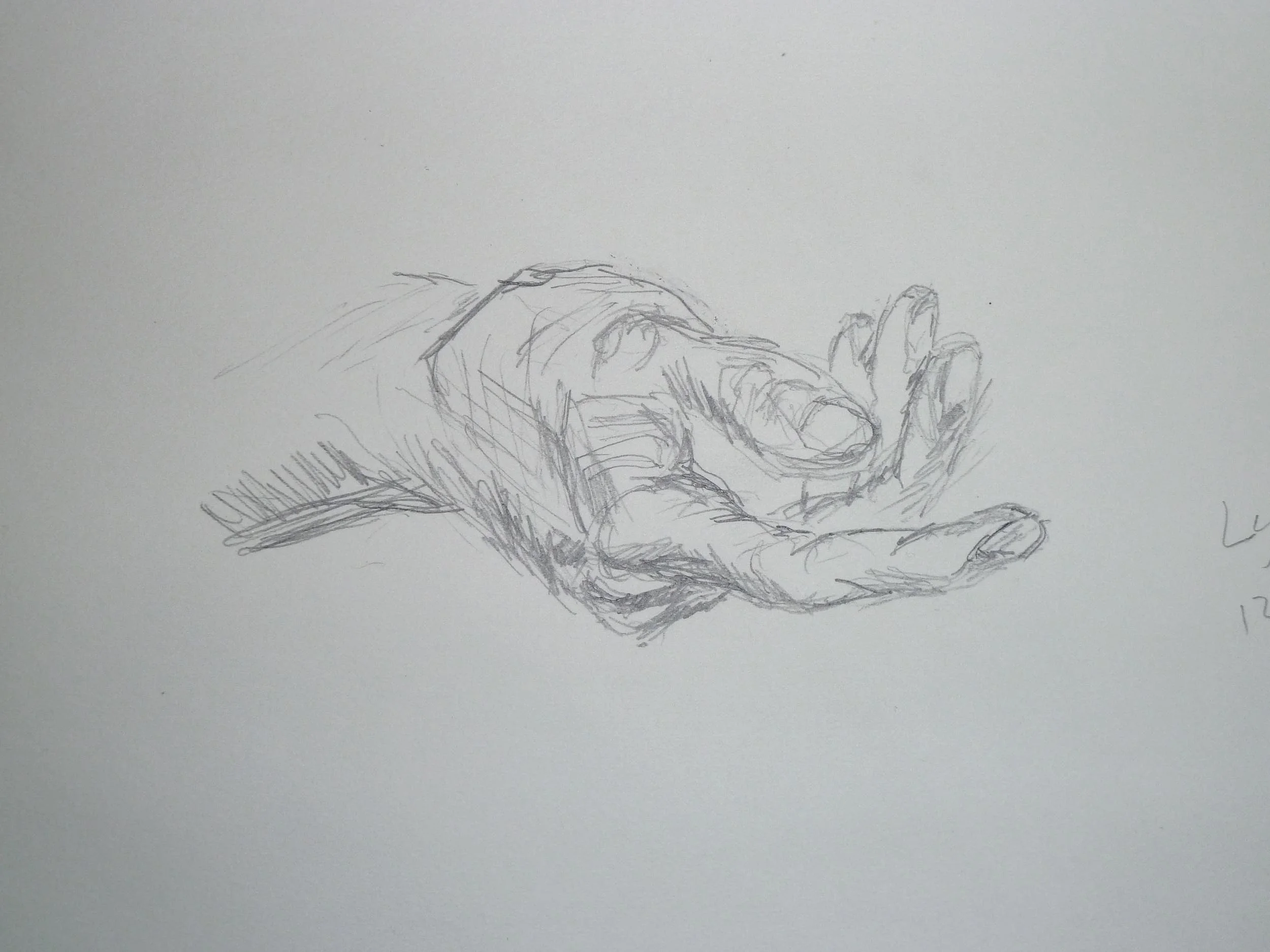 Hand Study