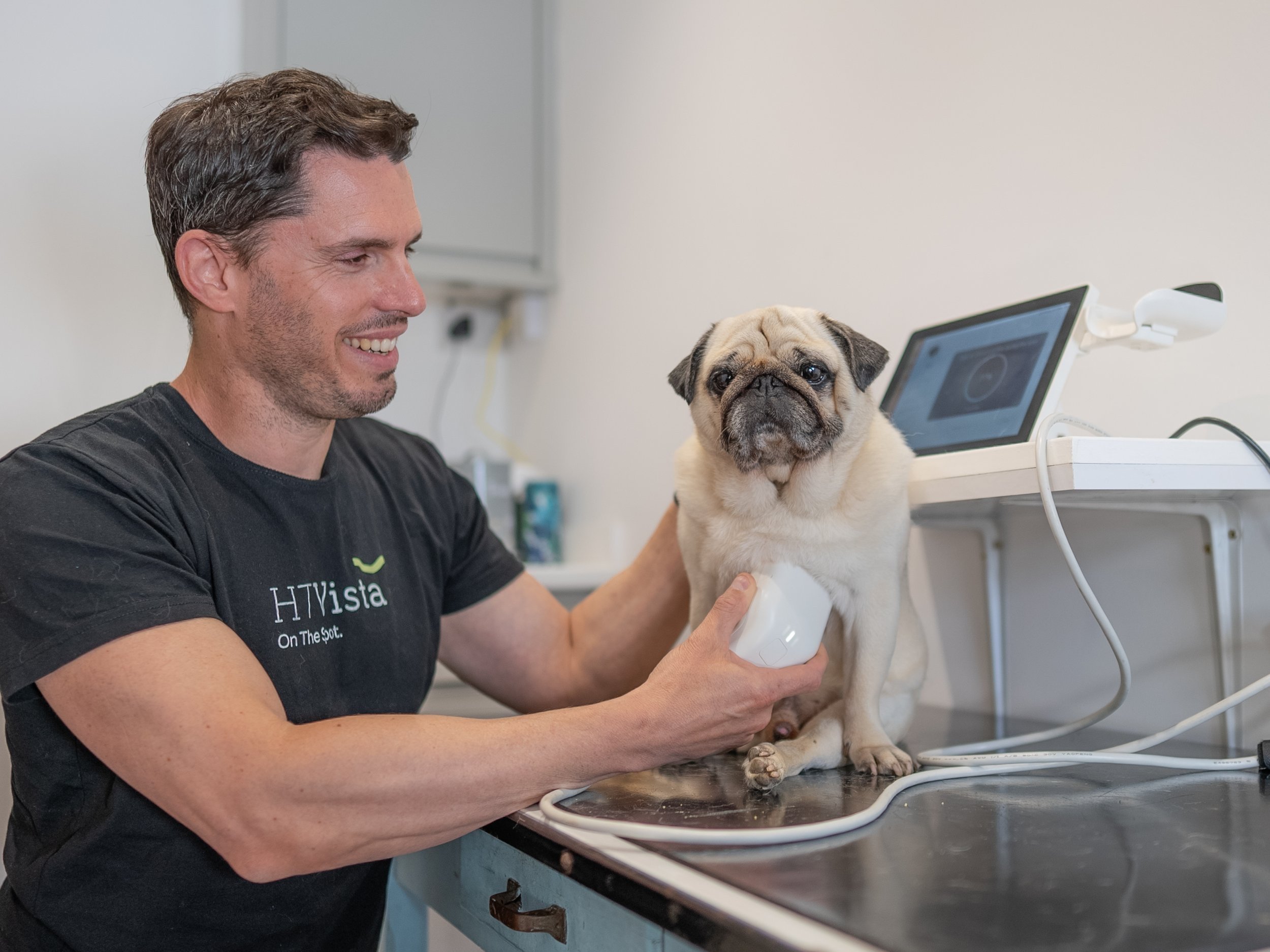 HT Vista Saved Our Dog s Life Instadoggo HT Vista Saved Our Dog s Life Instadoggo