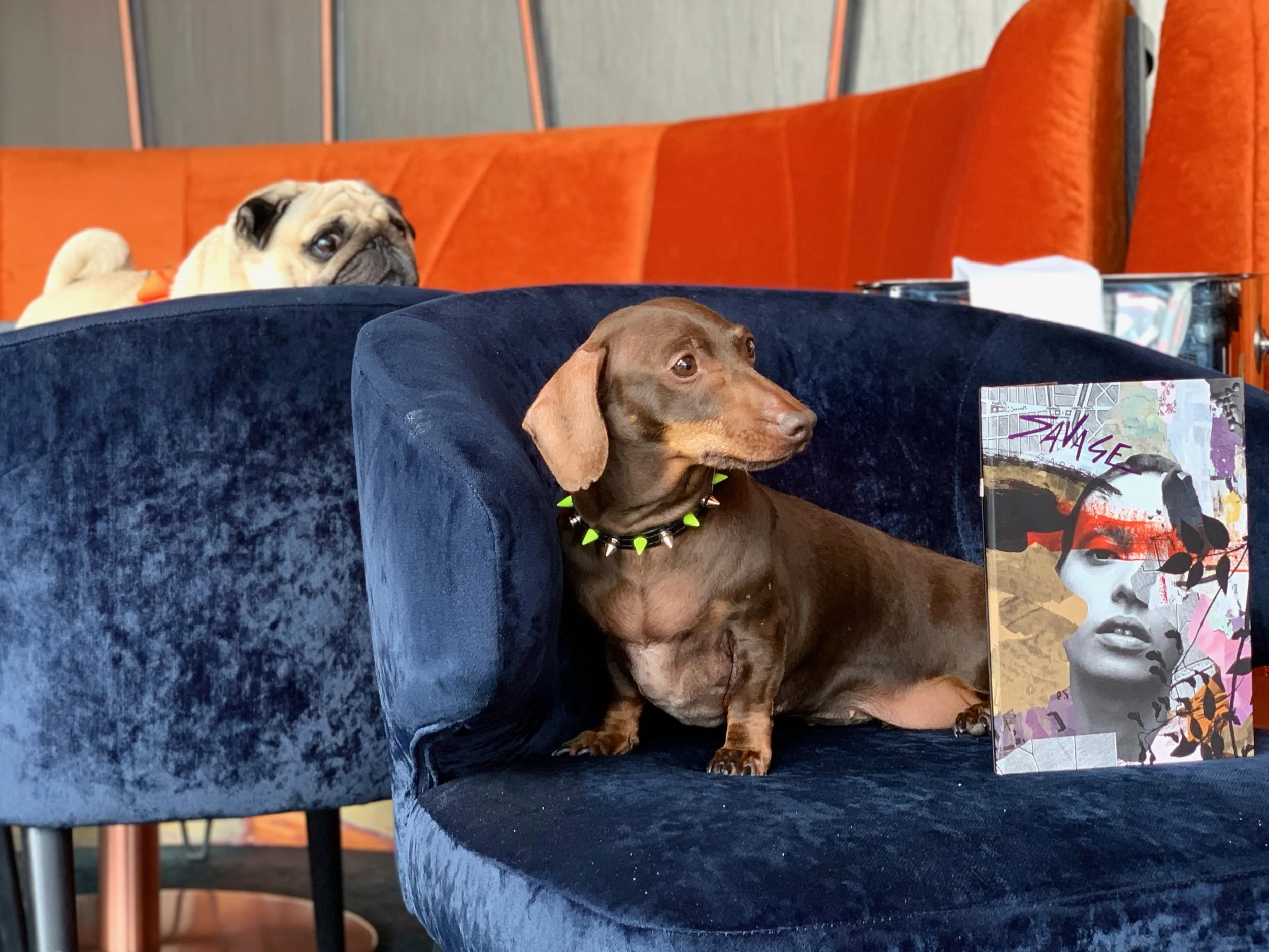 Savage Garden Rooftop -  Tower of London