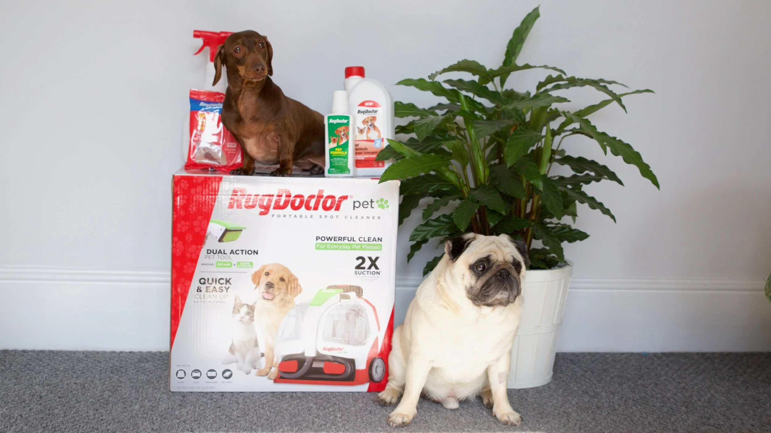RugDoctor - Pet Portable Spot Cleaner
