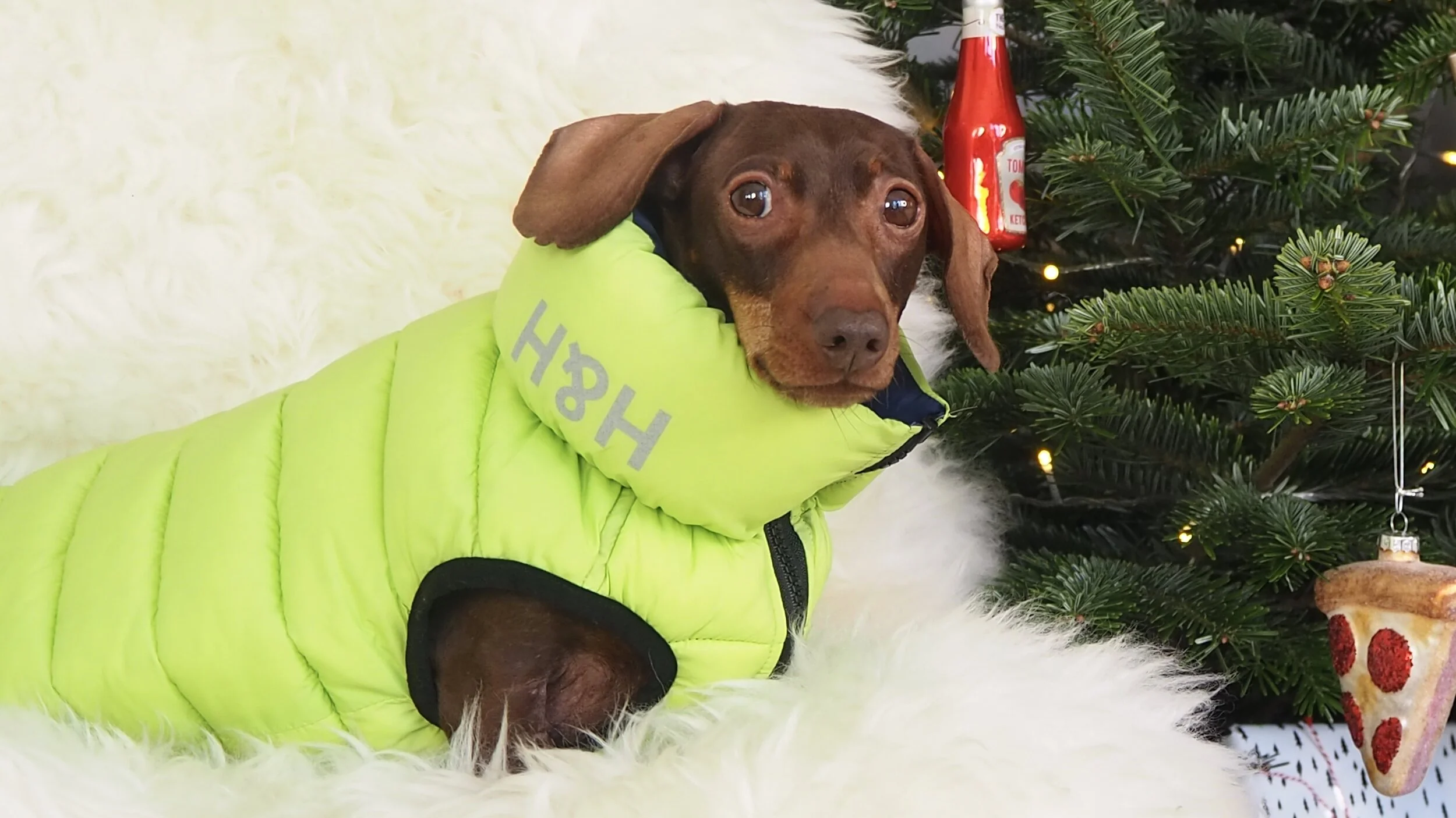 hugo and hudson puffer