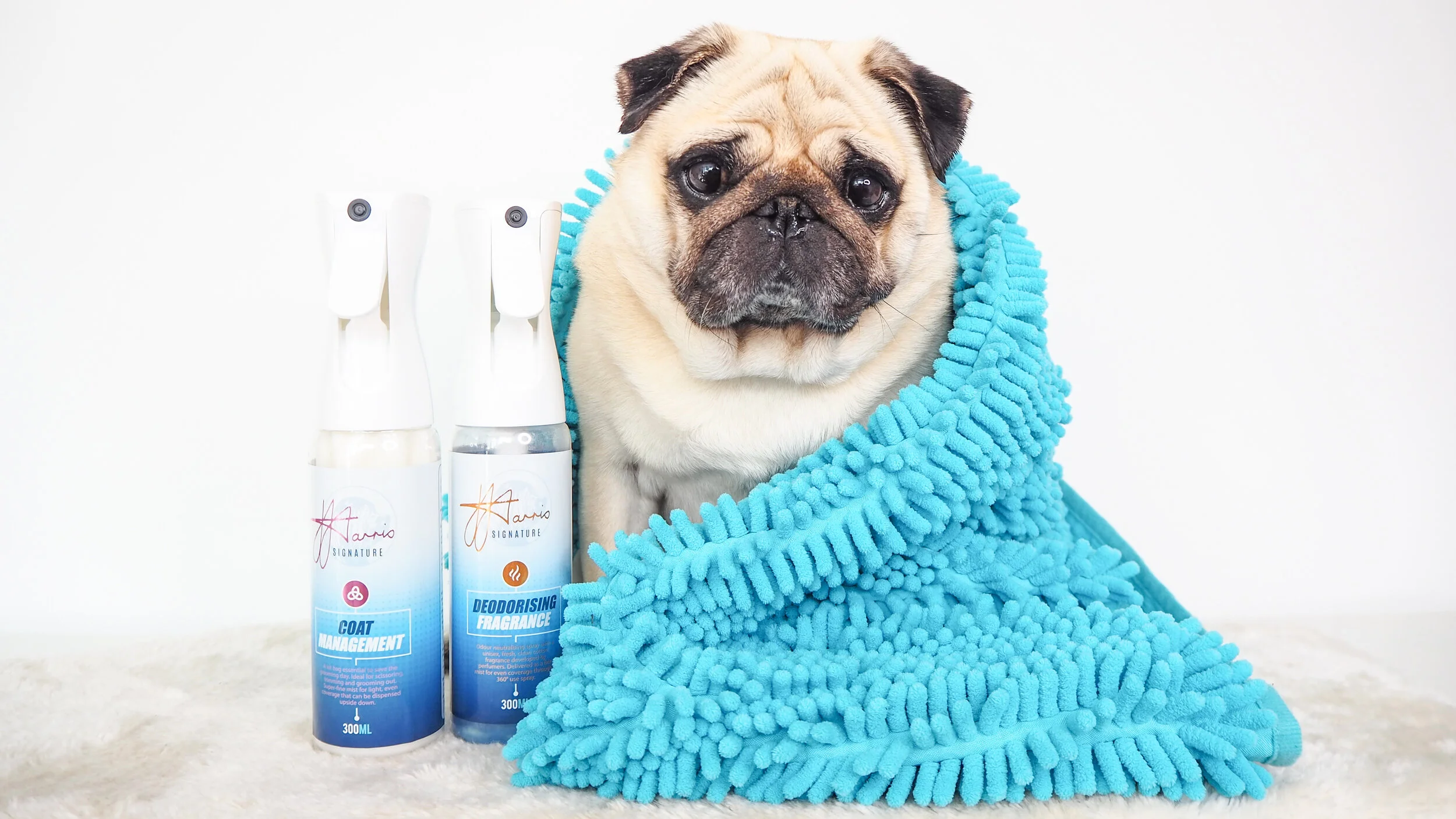 Puggy Smalls bath groomer