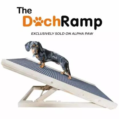 DACHRAMPRAMP-416x416.jpg