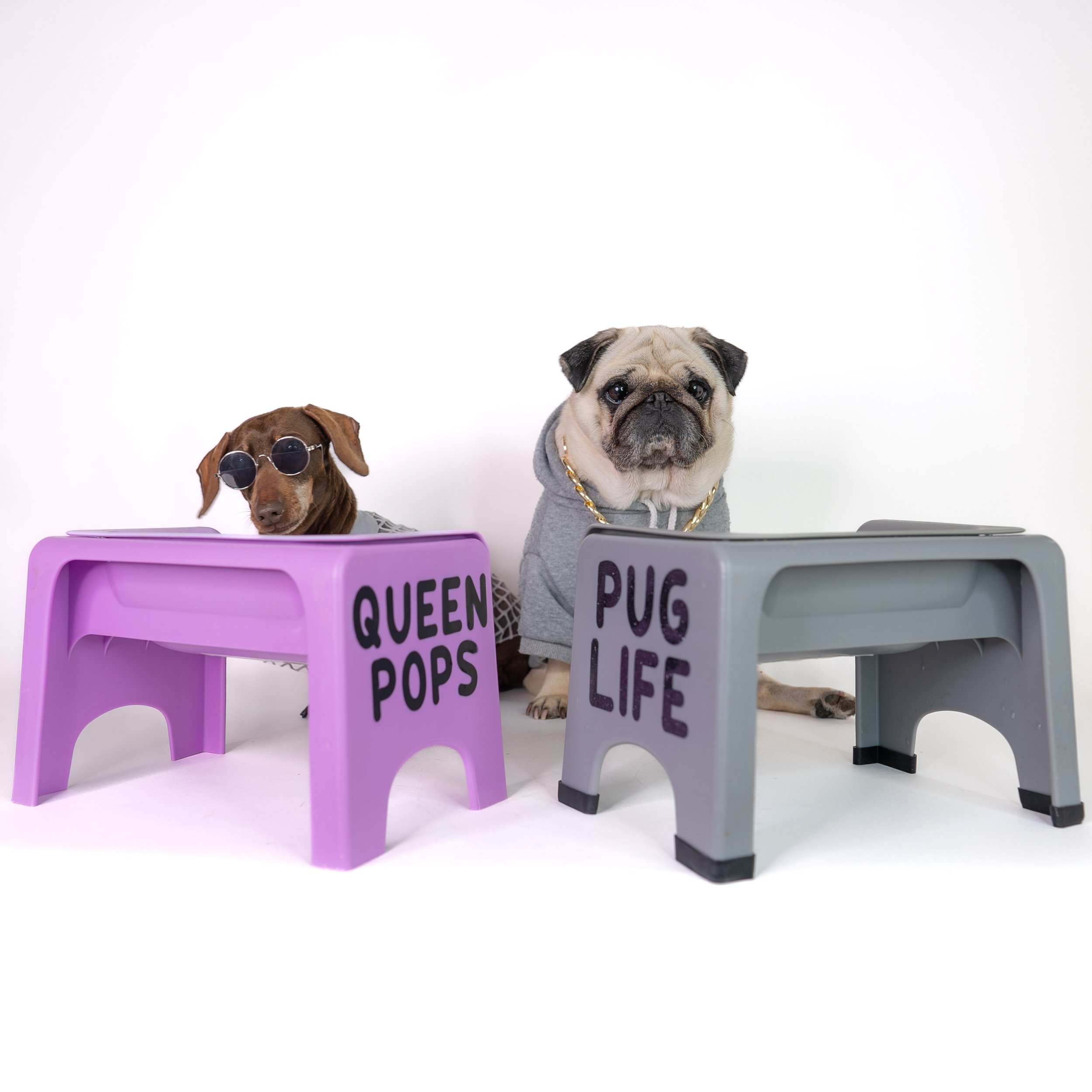 Fluff Trough - The original and best personalised, elevated, life changing pet  bowls. — instadoggo