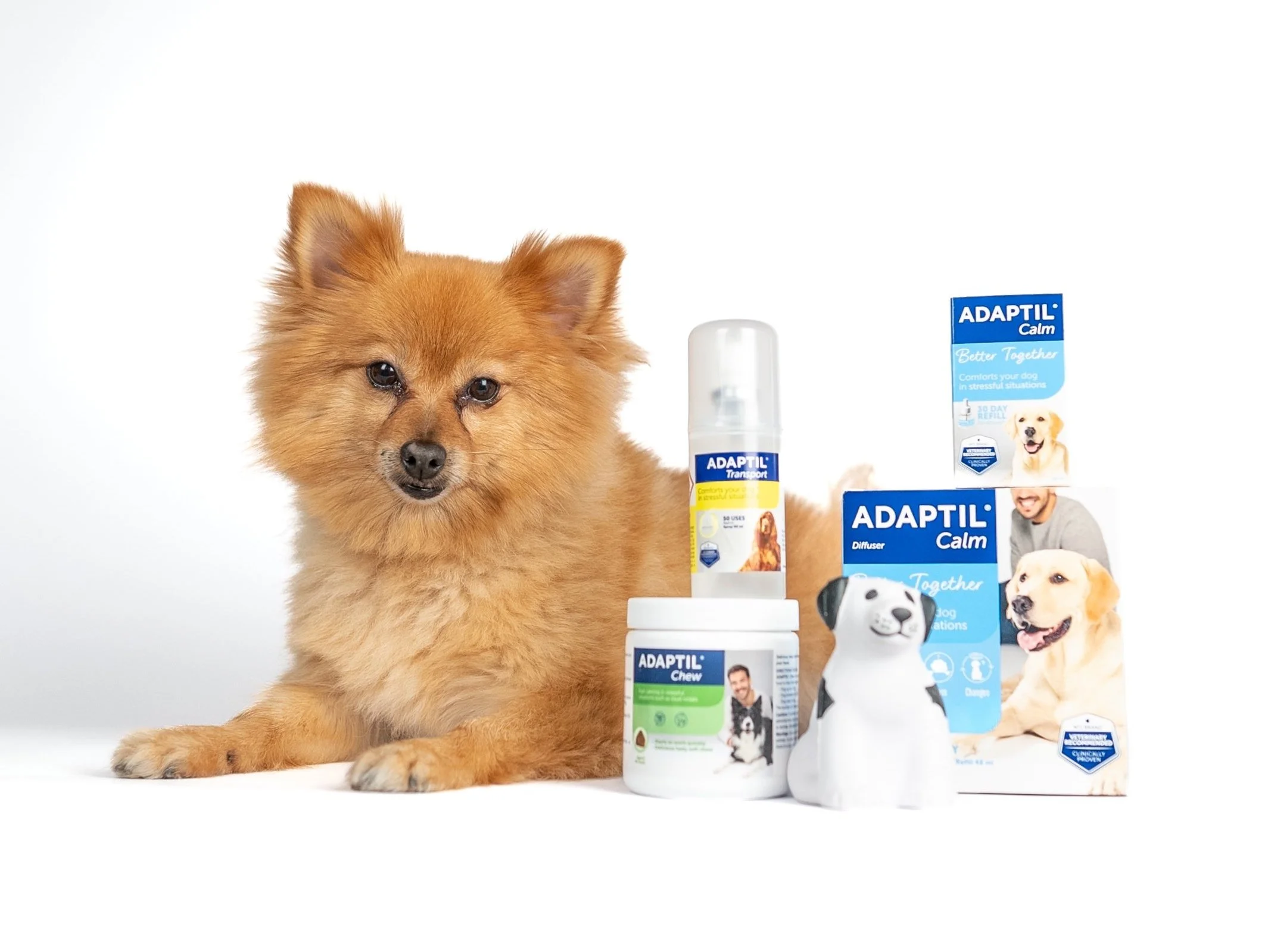 Pet Anxiety Awareness Month