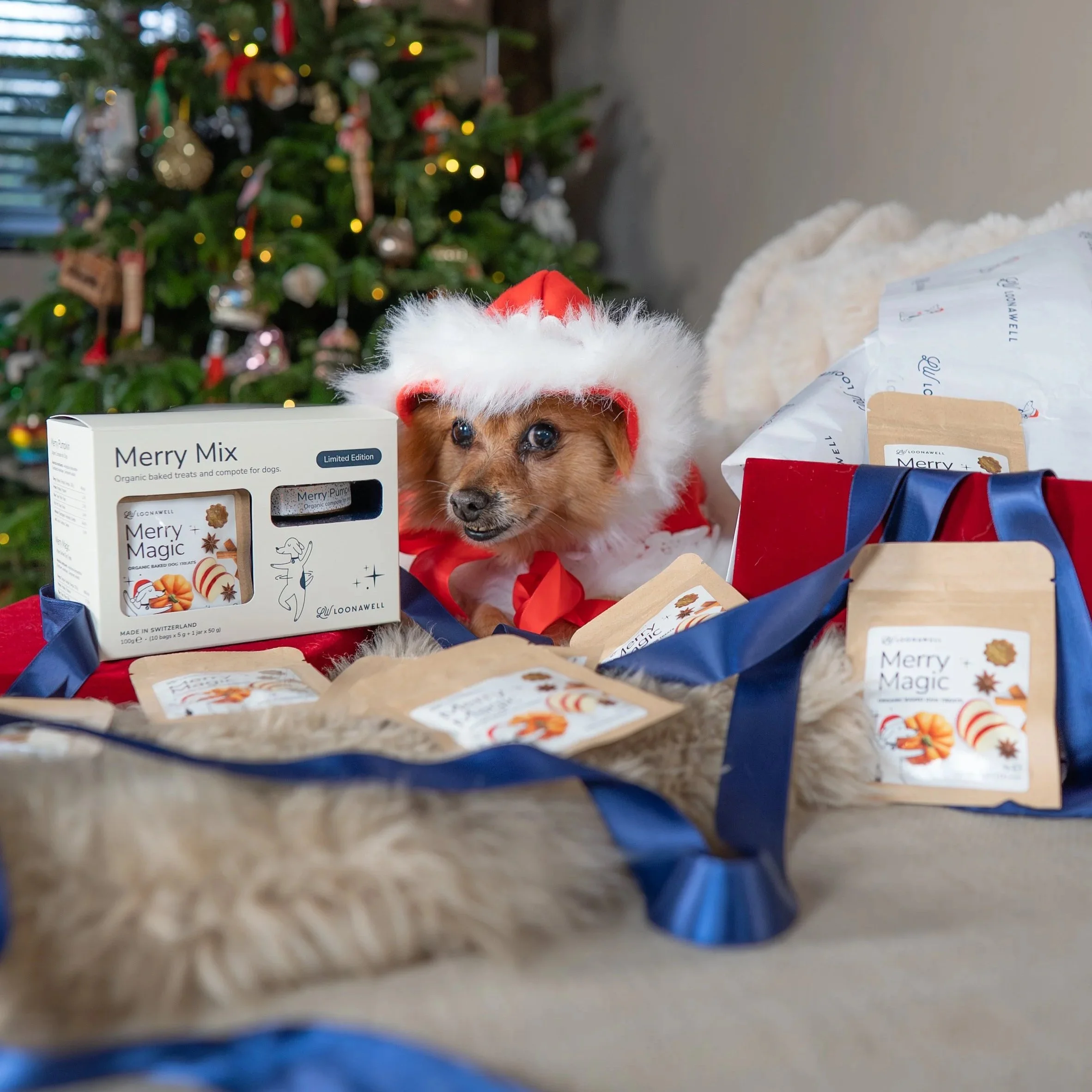 Because dogs deserve the finer things in life too – especially at Christmas time.