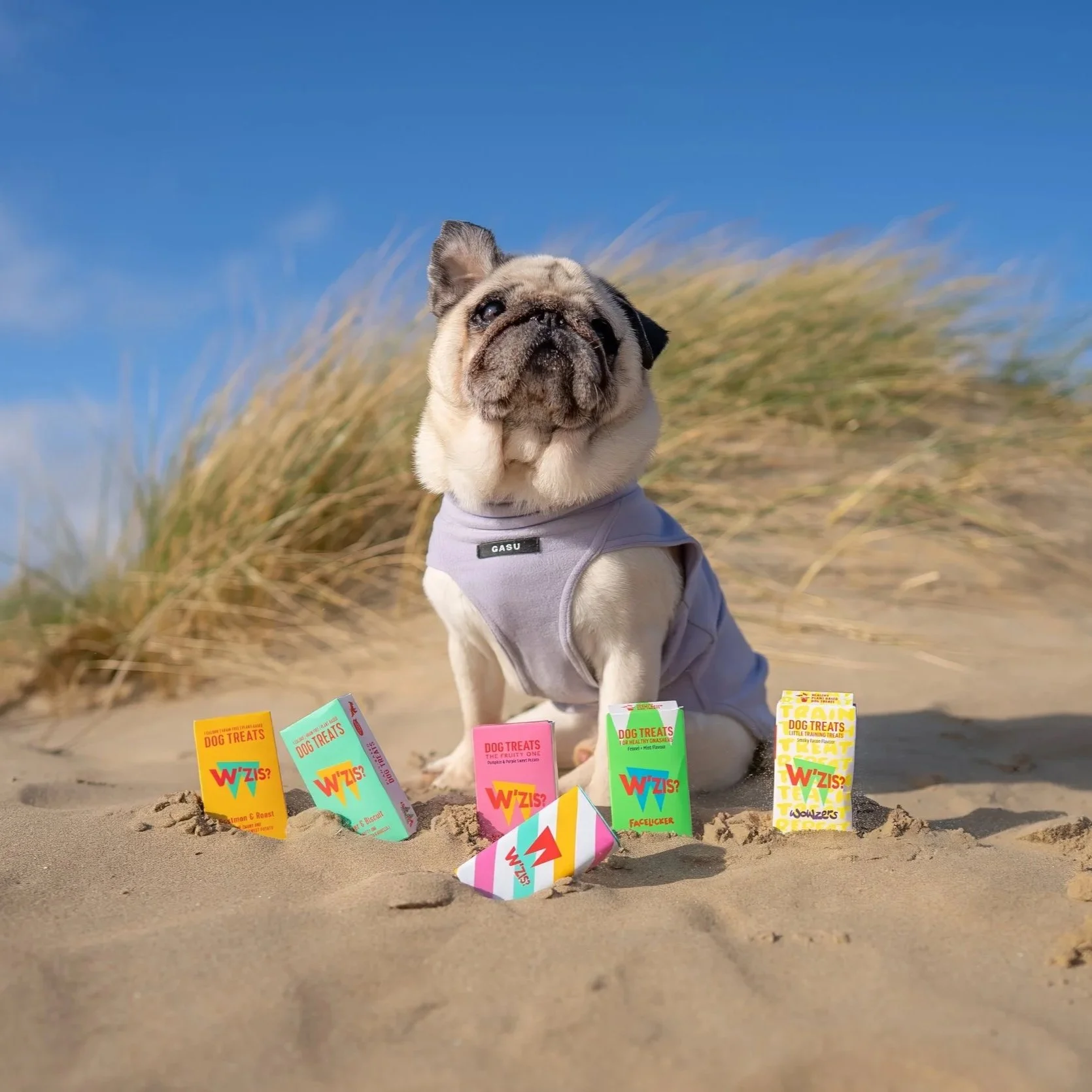 W’zis? The era of boring beige treats is officially over!