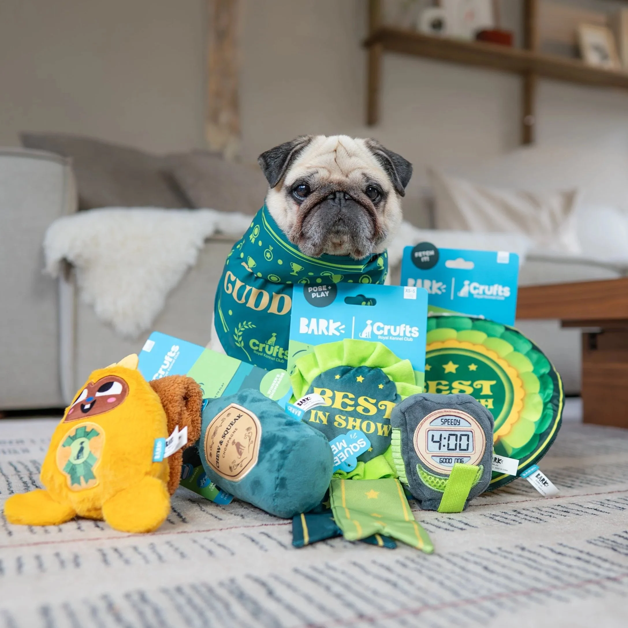 Now every dog can be best in show thanks to BARK and Crufts!