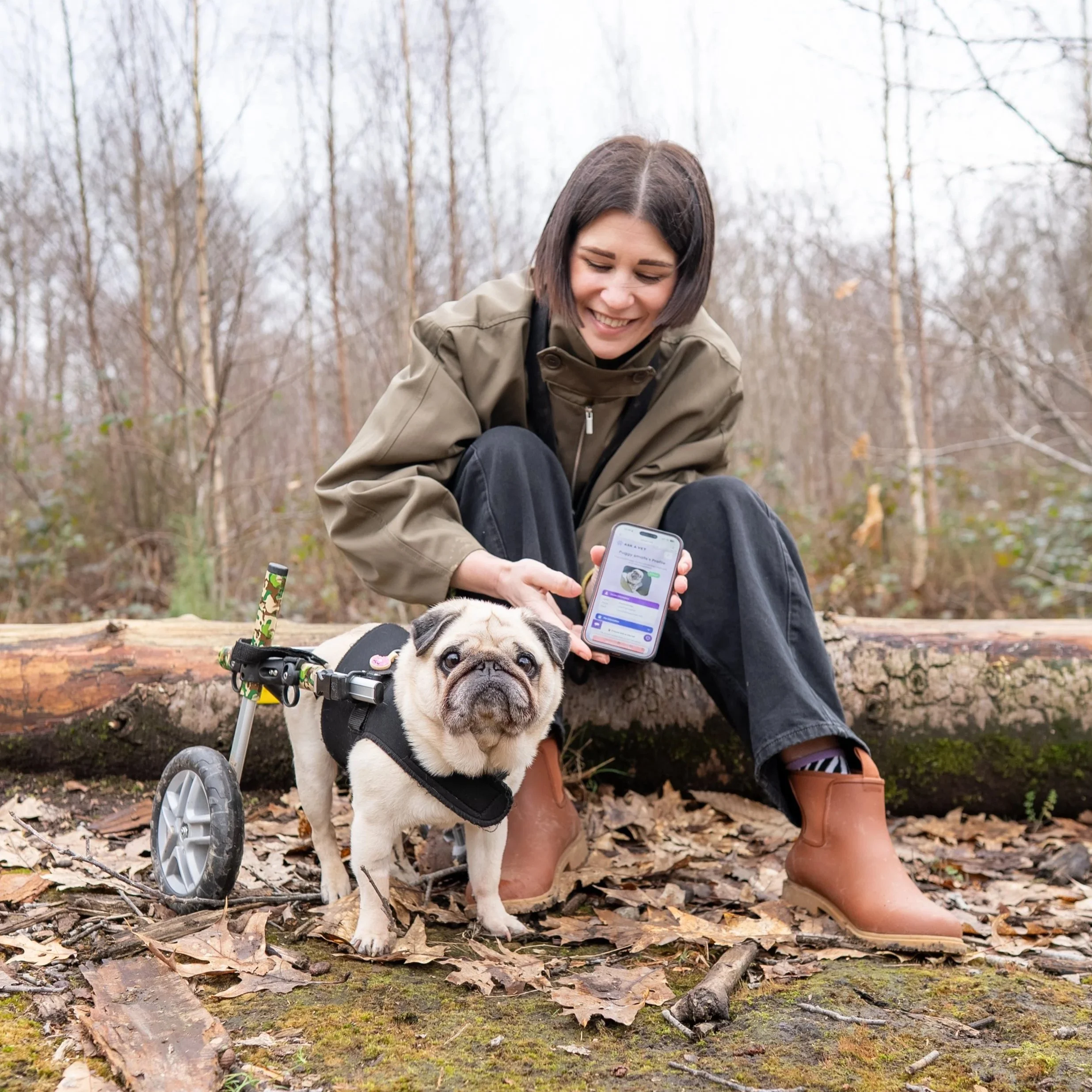 We have just discovered the coolest pet tags EVER!