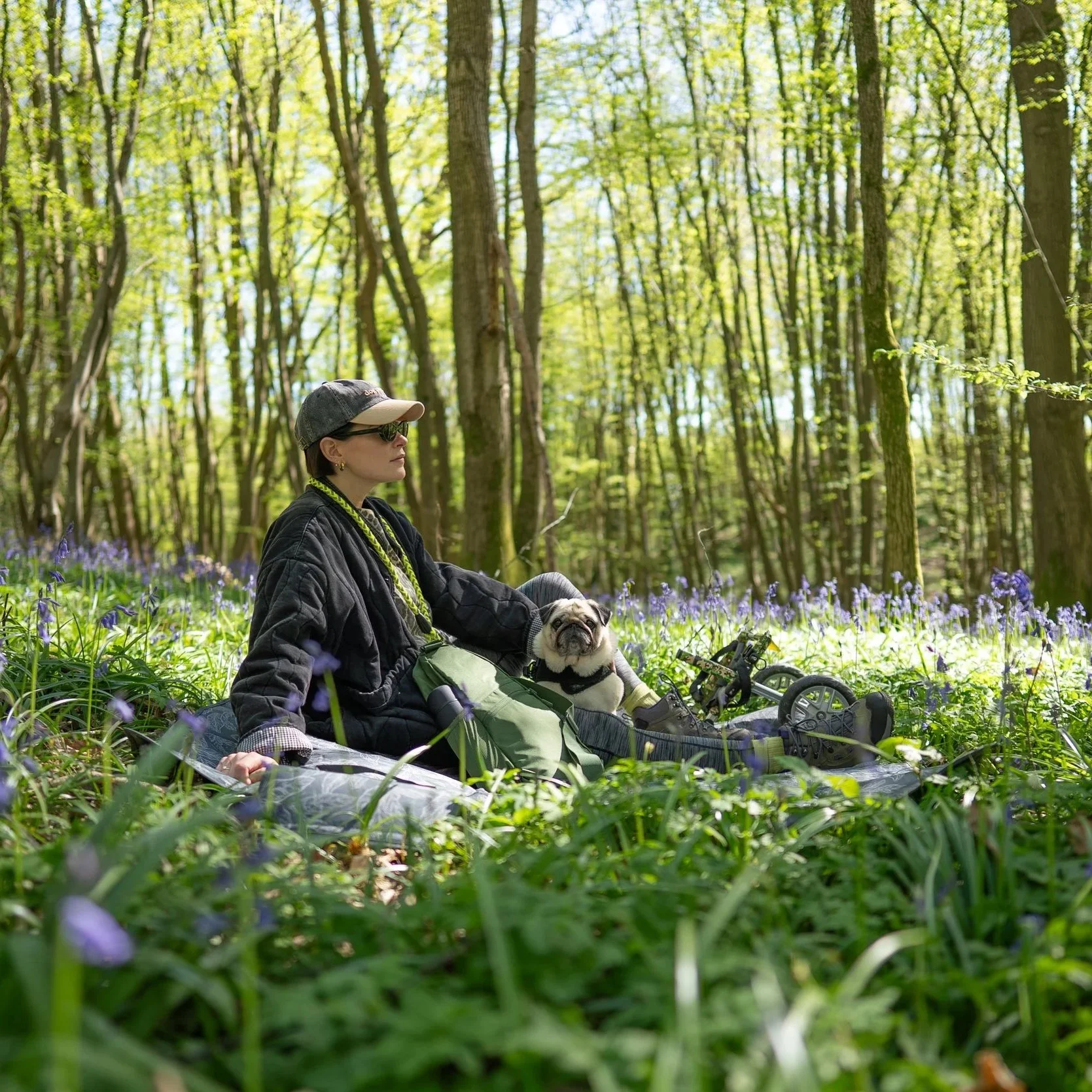 The perfect gear for adventures with your pooch!